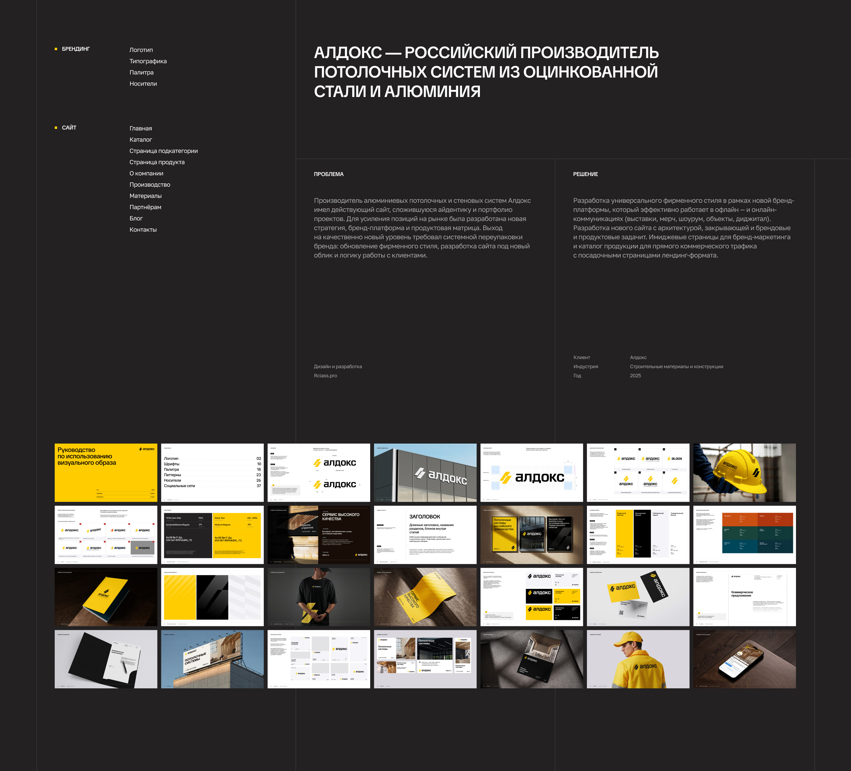Алдокс | фирстиль и сайт для производителя — Изображение №2 — Интерфейсы, Брендинг на Dprofile