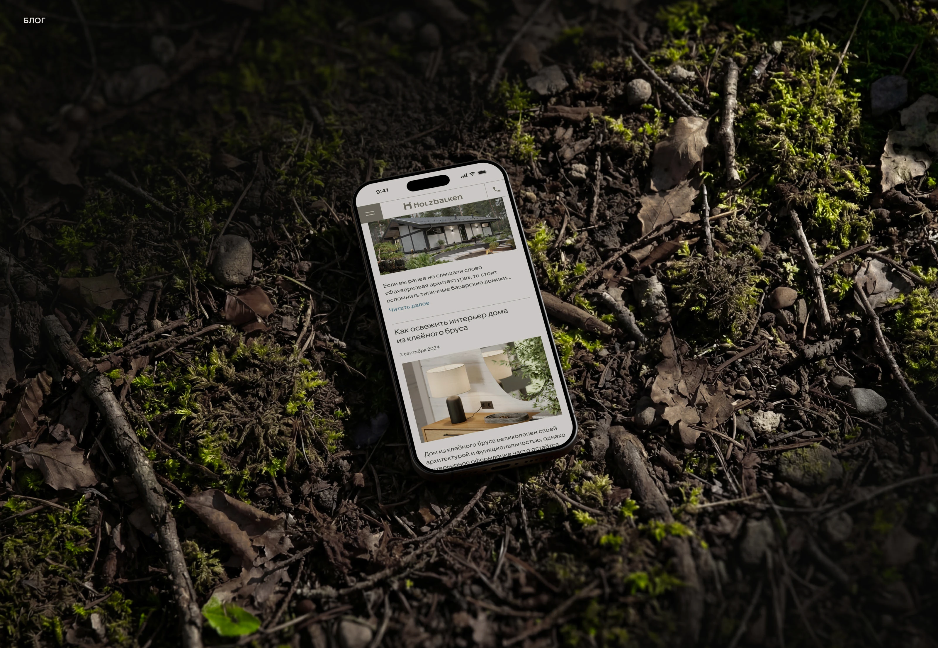 HOLZBALKEN.RU — Изображение №13 — Интерфейсы, Анимация на Dprofile