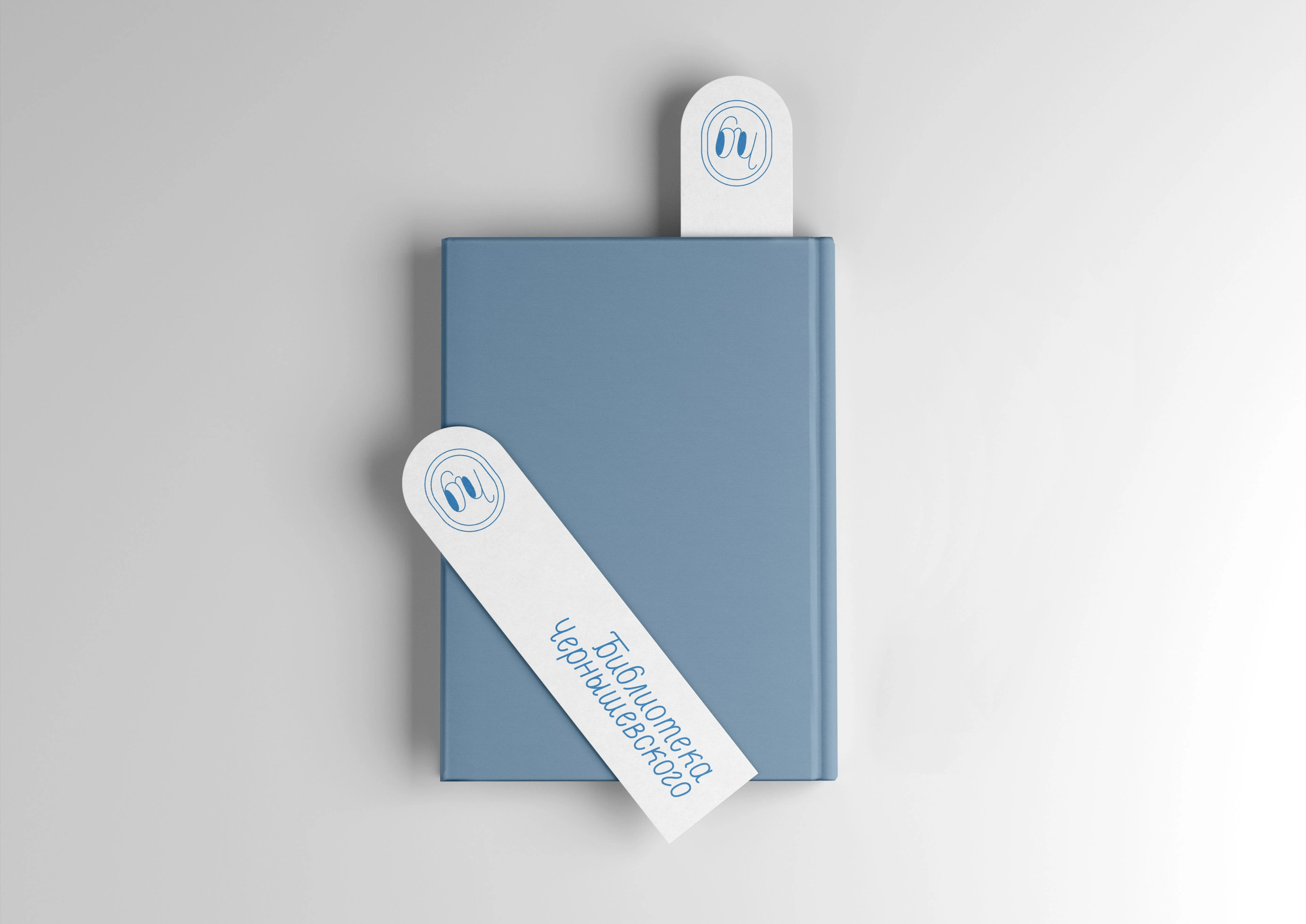 Логотип библиотеки им. Чернышевского — Изображение №2 — Брендинг, Графика на Dprofile