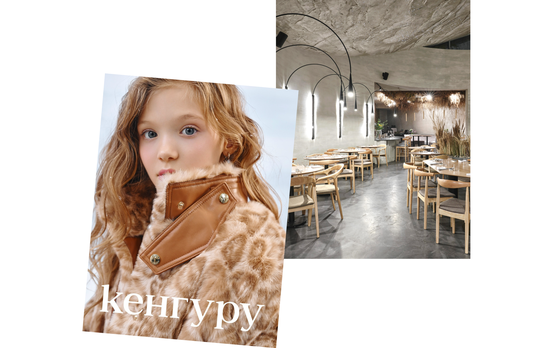 Иллюстрации для Кенгуру и ресторана Fresco — Изображение №2 — Иллюстрация, Маркетинг на Dprofile