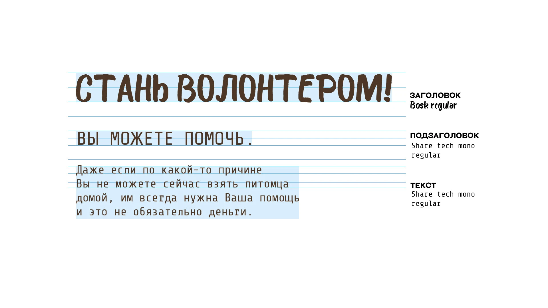 ЛОГО ФИРСТИЛЬ ПРИЮТ ДЛЯ СОБАК БЛАГОТВОРИТЕЛЬНОСТЬ — Изображение №10 — Брендинг на Dprofile