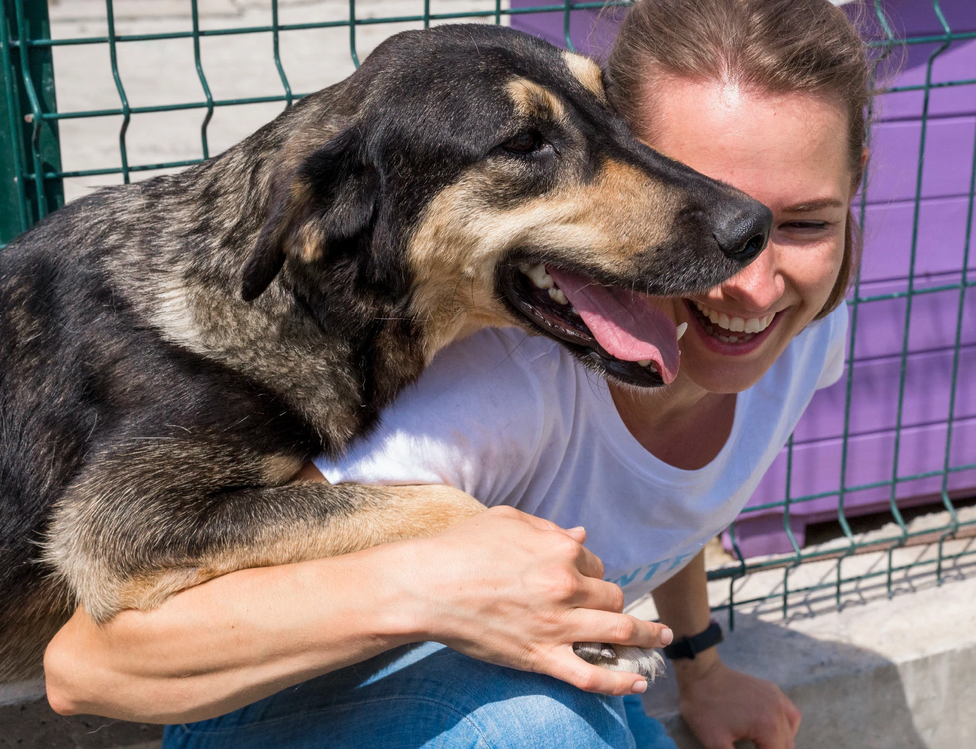 ЛОГО ФИРСТИЛЬ ПРИЮТ ДЛЯ СОБАК БЛАГОТВОРИТЕЛЬНОСТЬ — Изображение №3 — Брендинг на Dprofile