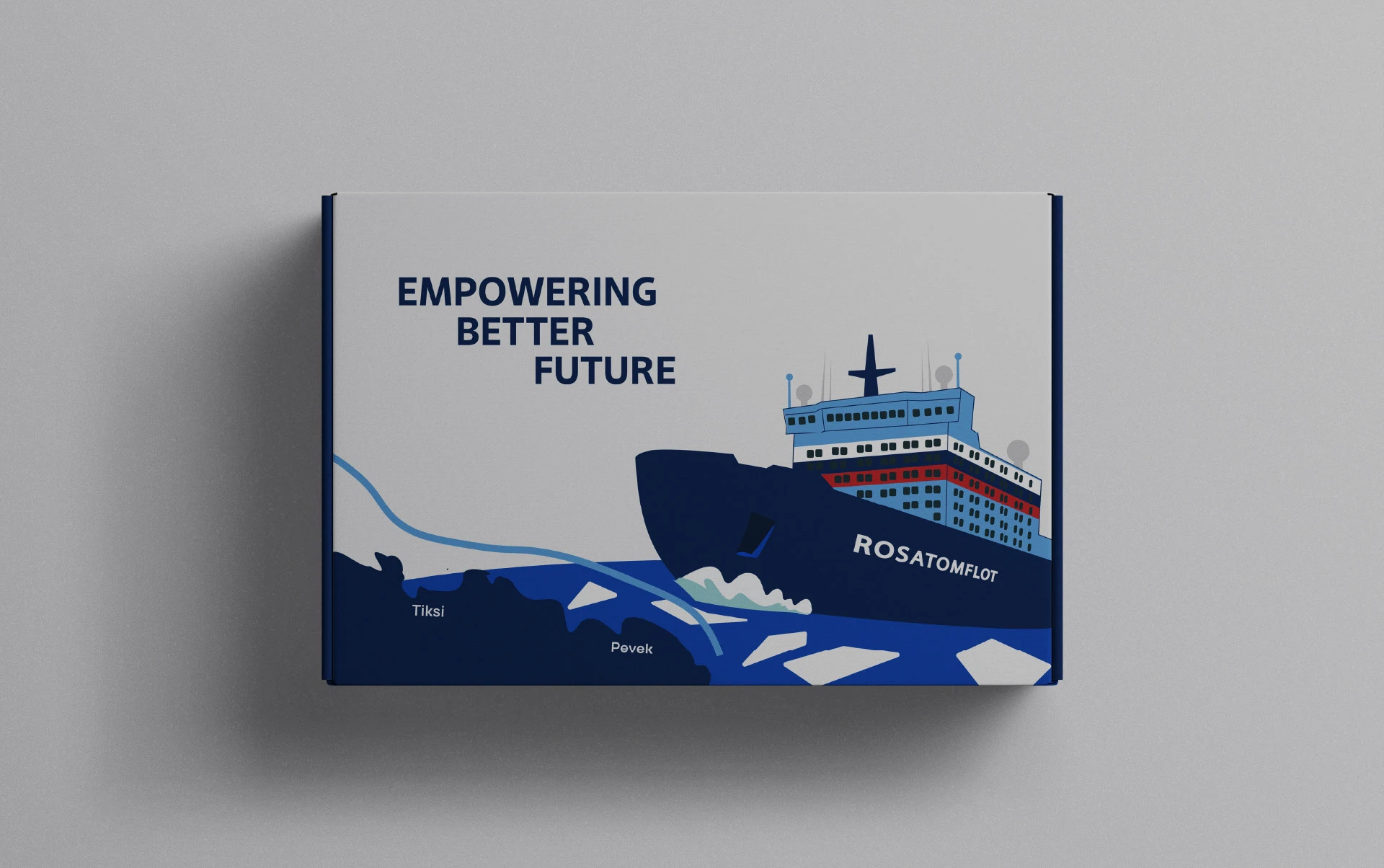 Дизайн декора фарфоровой пары для Росатома х Антихрупкость — Изображение №14 — Брендинг, Графика на Dprofile