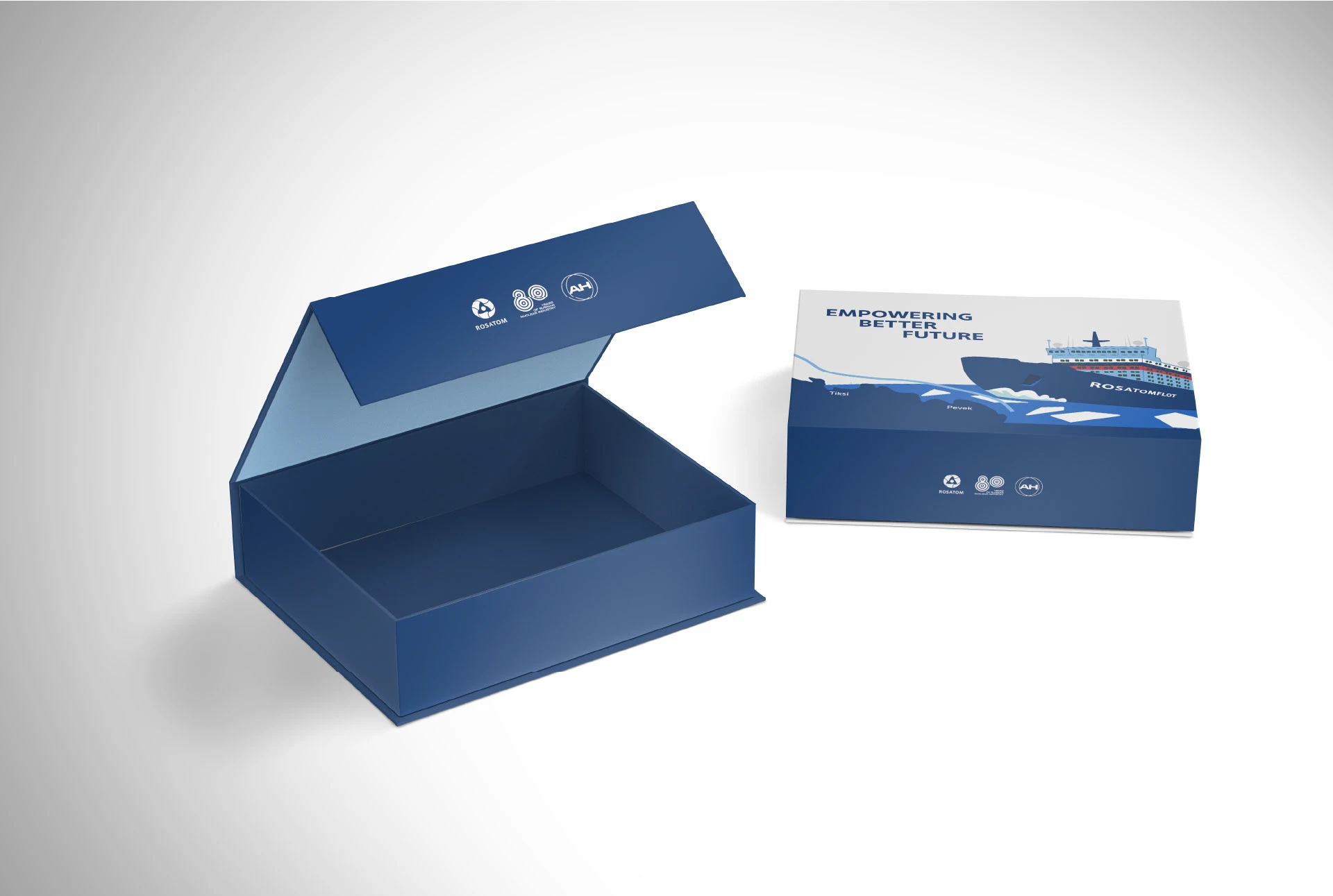 Дизайн декора фарфоровой пары для Росатома х Антихрупкость — Изображение №15 — Брендинг, Графика на Dprofile