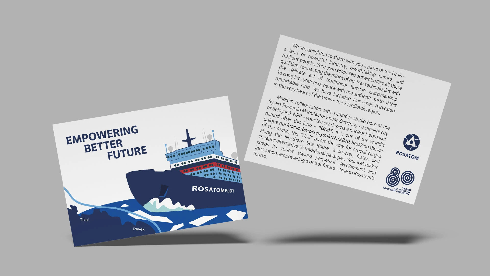 Дизайн декора фарфоровой пары для Росатома х Антихрупкость — Изображение №17 — Брендинг, Графика на Dprofile