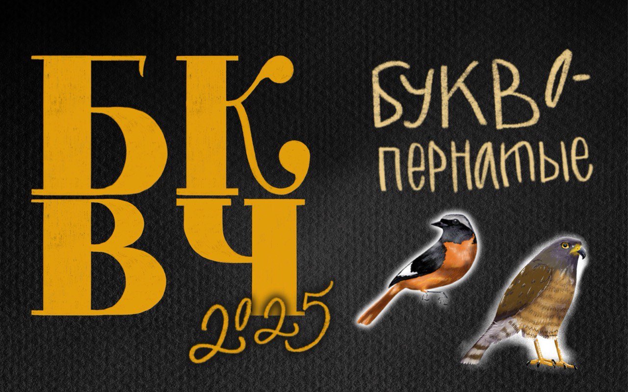 БуквоПернатые — Изображение №1 — Иллюстрация, Графика на Dprofile