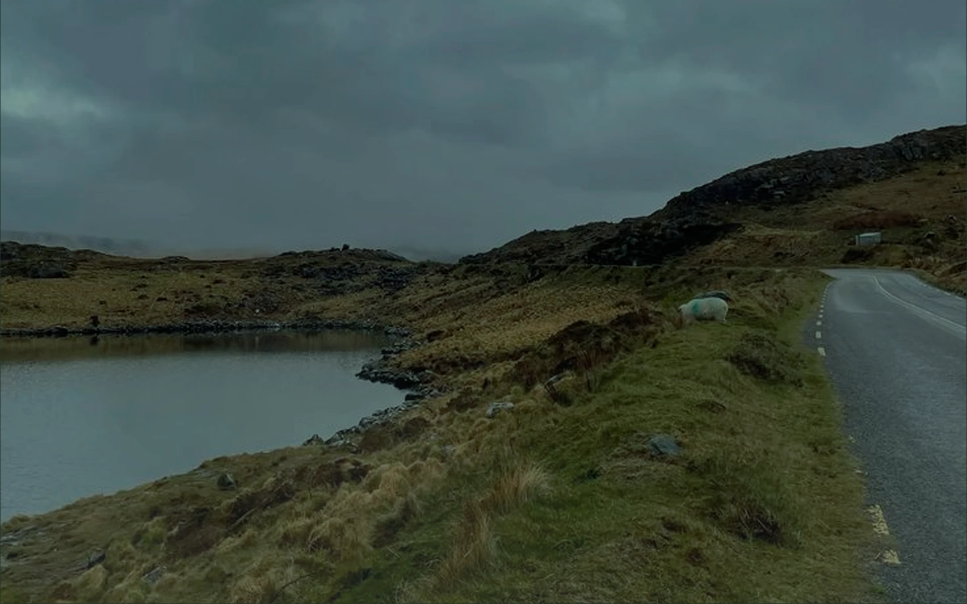 INIS NOWHERE | AUTHOR'S TOURS OF IRELAND — Изображение №10 — Интерфейсы на Dprofile