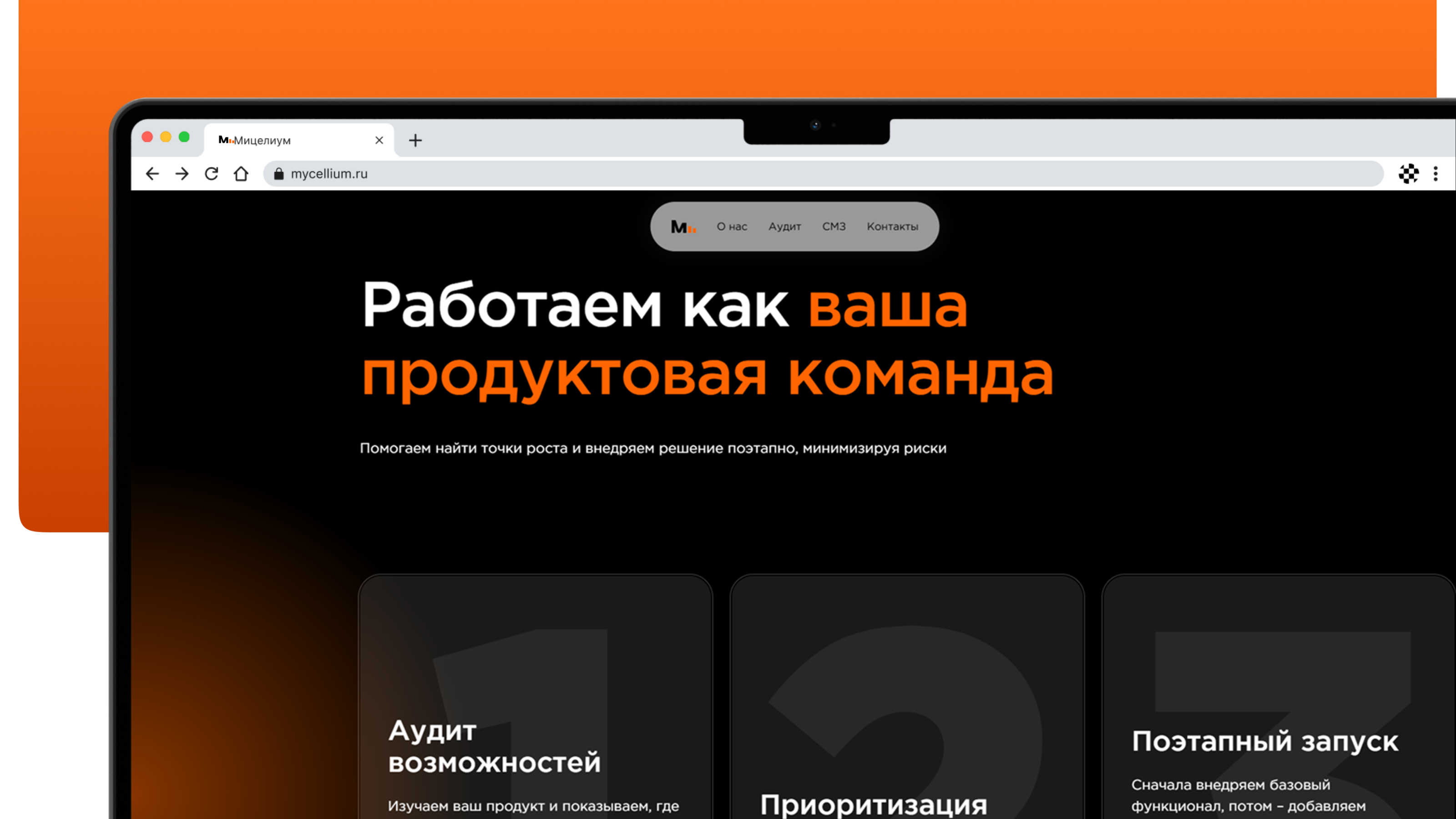 Mycellium — Изображение №10 — Брендинг на Dprofile