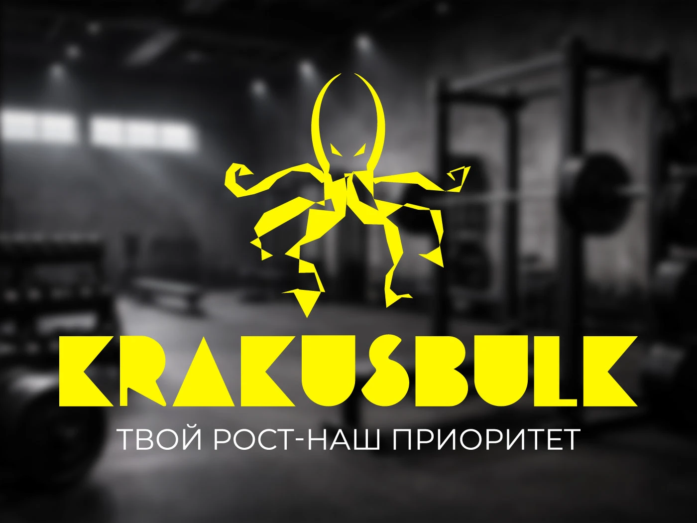 Logo for a sports nutrition store — Изображение №1 — Брендинг на Dprofile