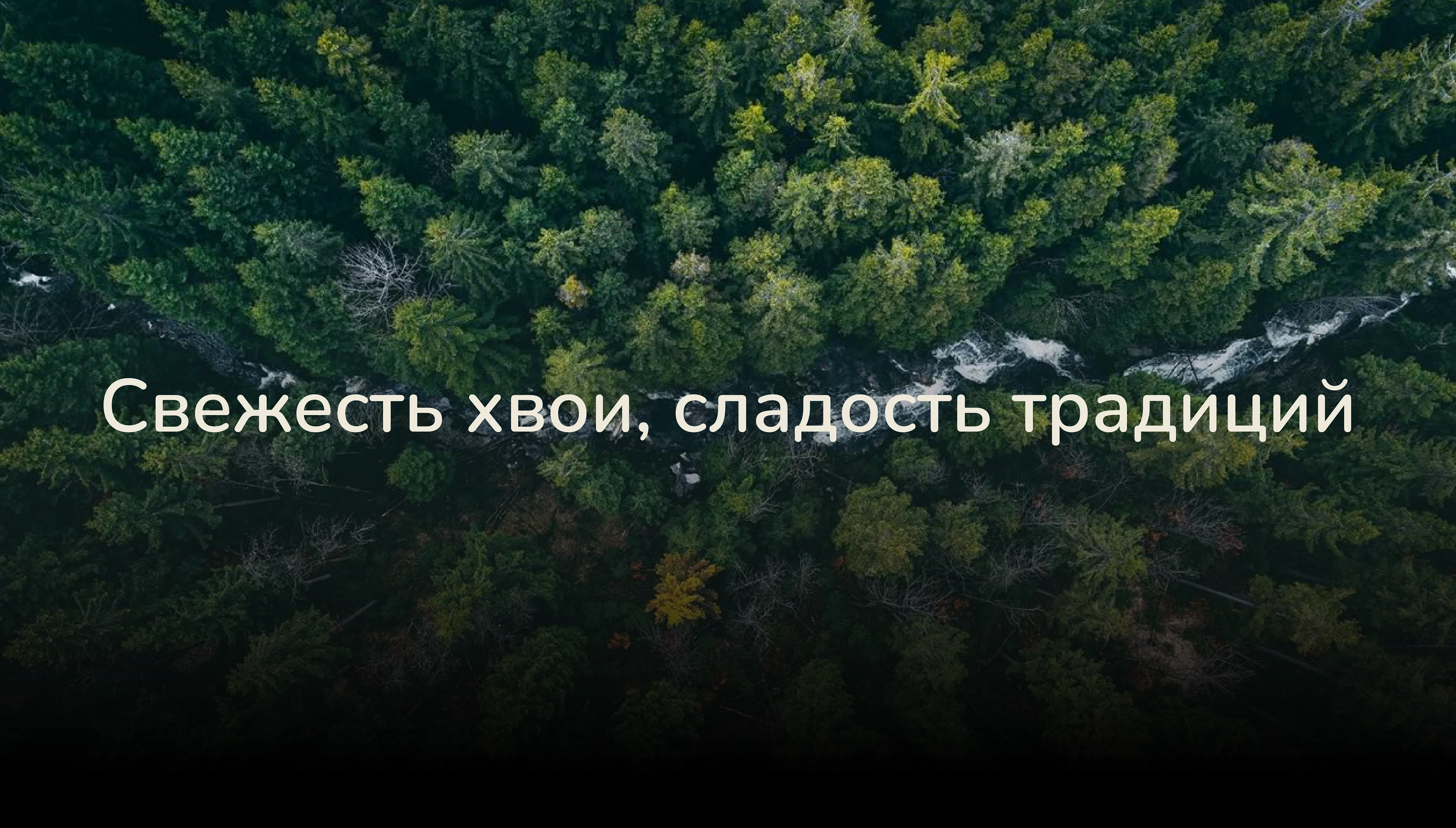 Тайга — Изображение №2 — Брендинг на Dprofile