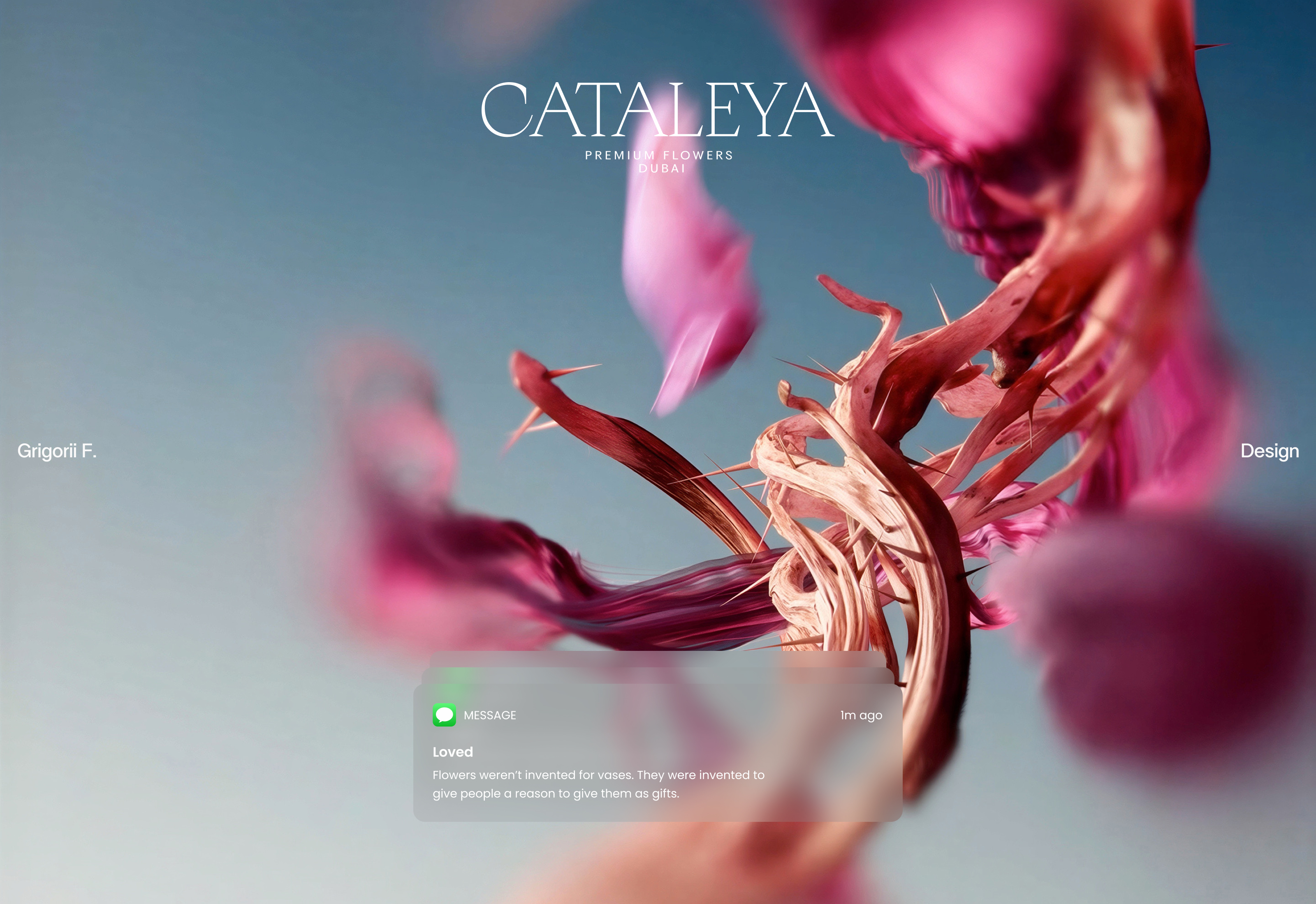 CATALEYA — Изображение №1 — Интерфейсы на Dprofile