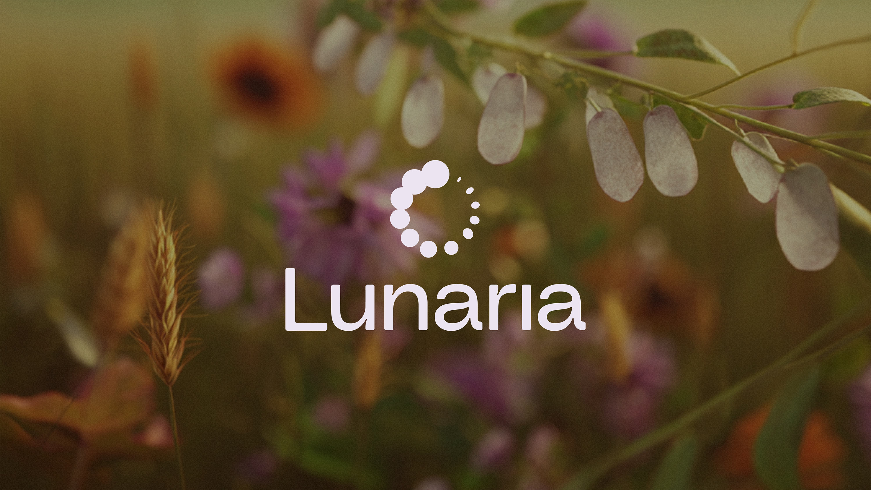 Lunaria — Изображение №1 — Интерфейсы, Брендинг на Dprofile