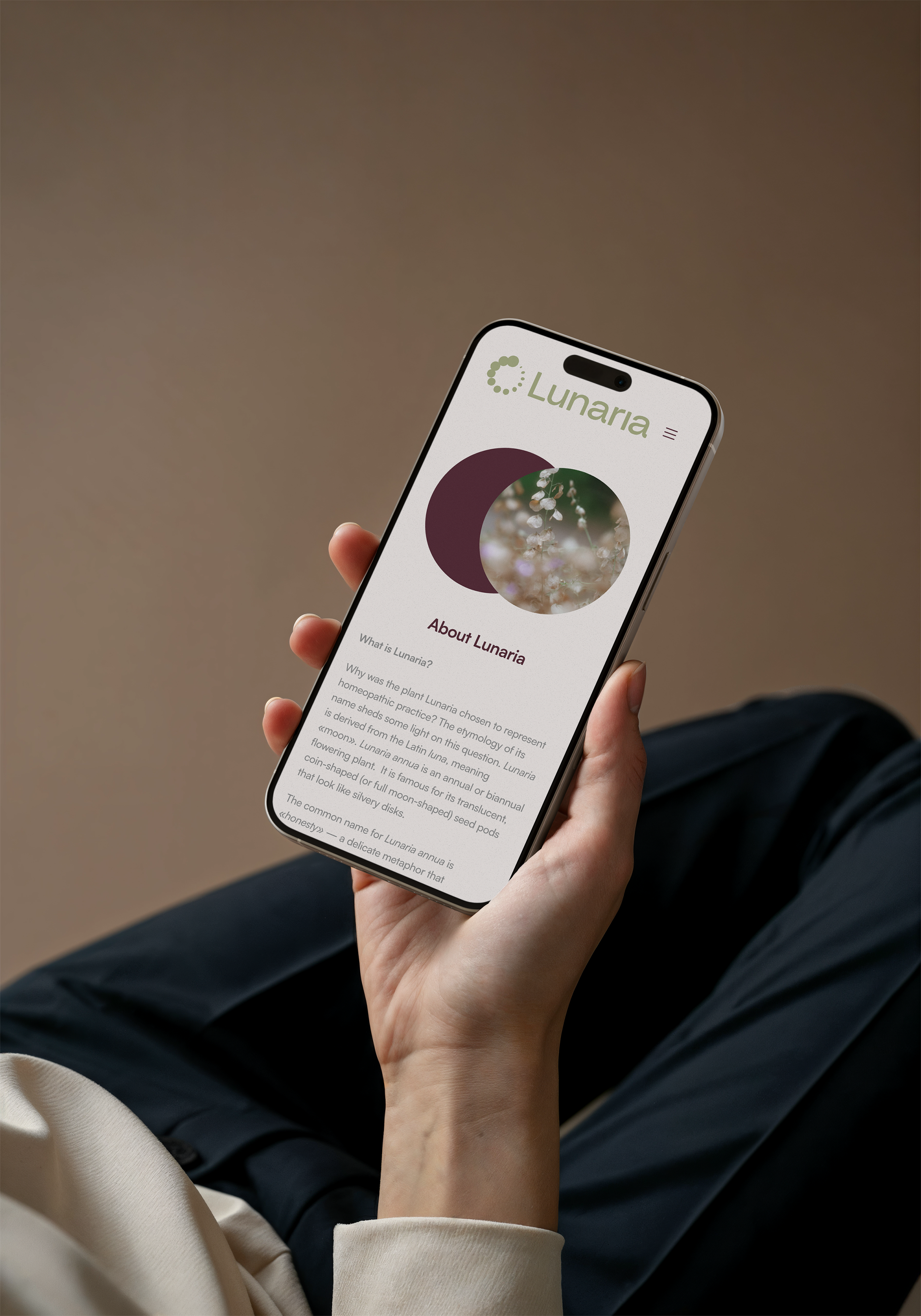 Lunaria — Изображение №6 — Интерфейсы, Брендинг на Dprofile