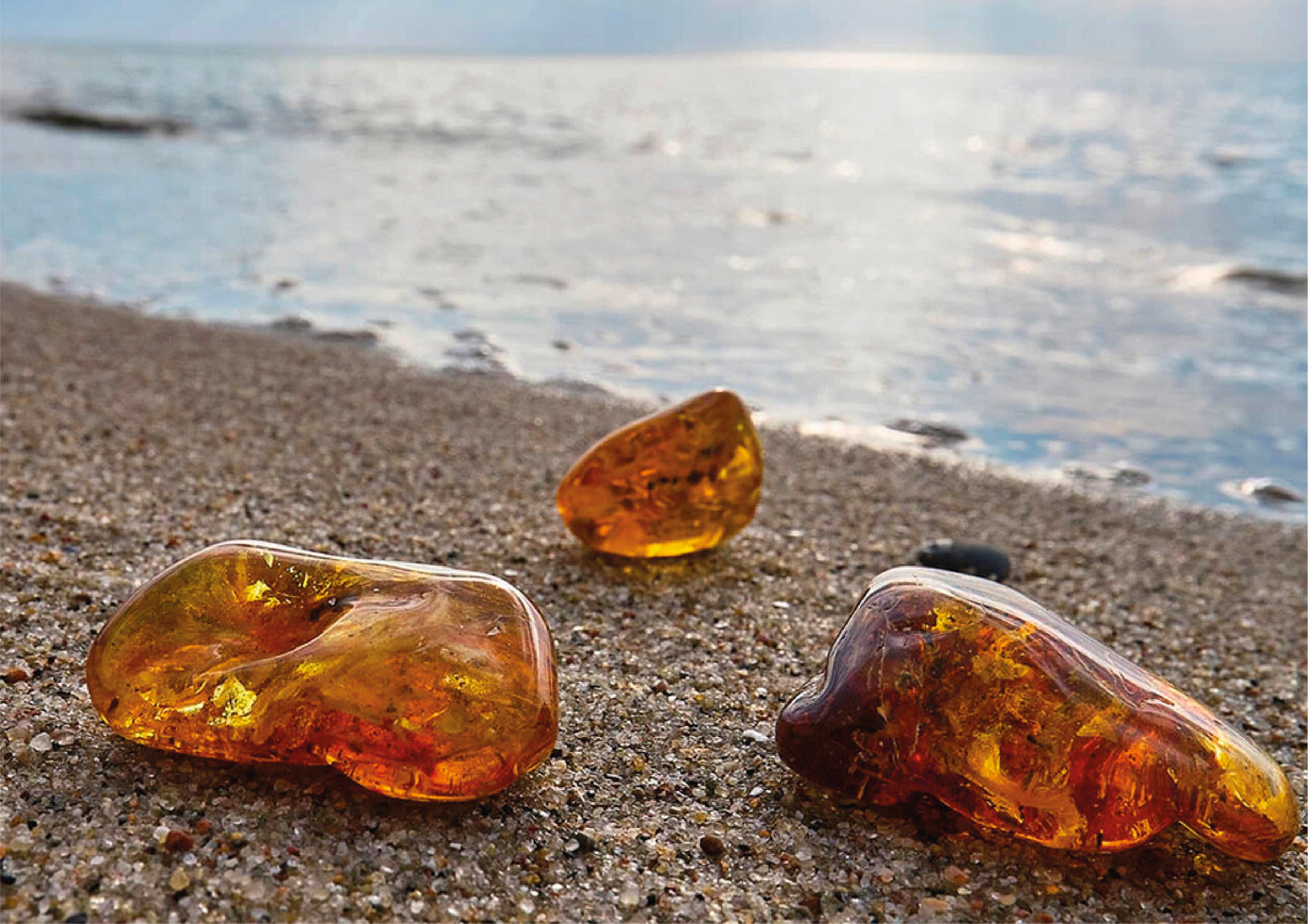 Навигация в гостинице Cosmos в Калининграде — Изображение №4 — Графика, Архитектура на Dprofile