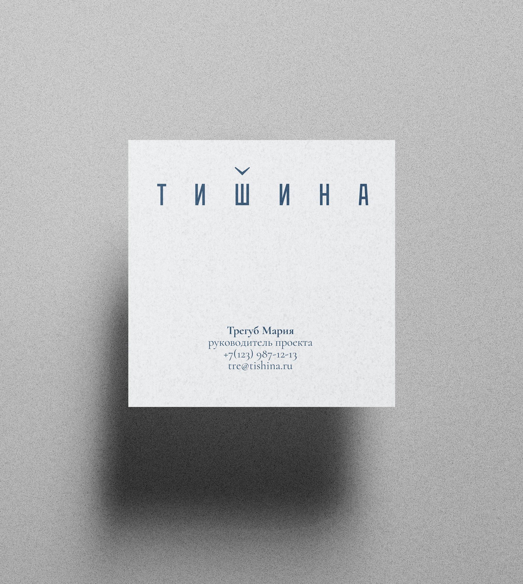 Клубный апарт-комплекс «Тишина» — Изображение №16 — Брендинг на Dprofile