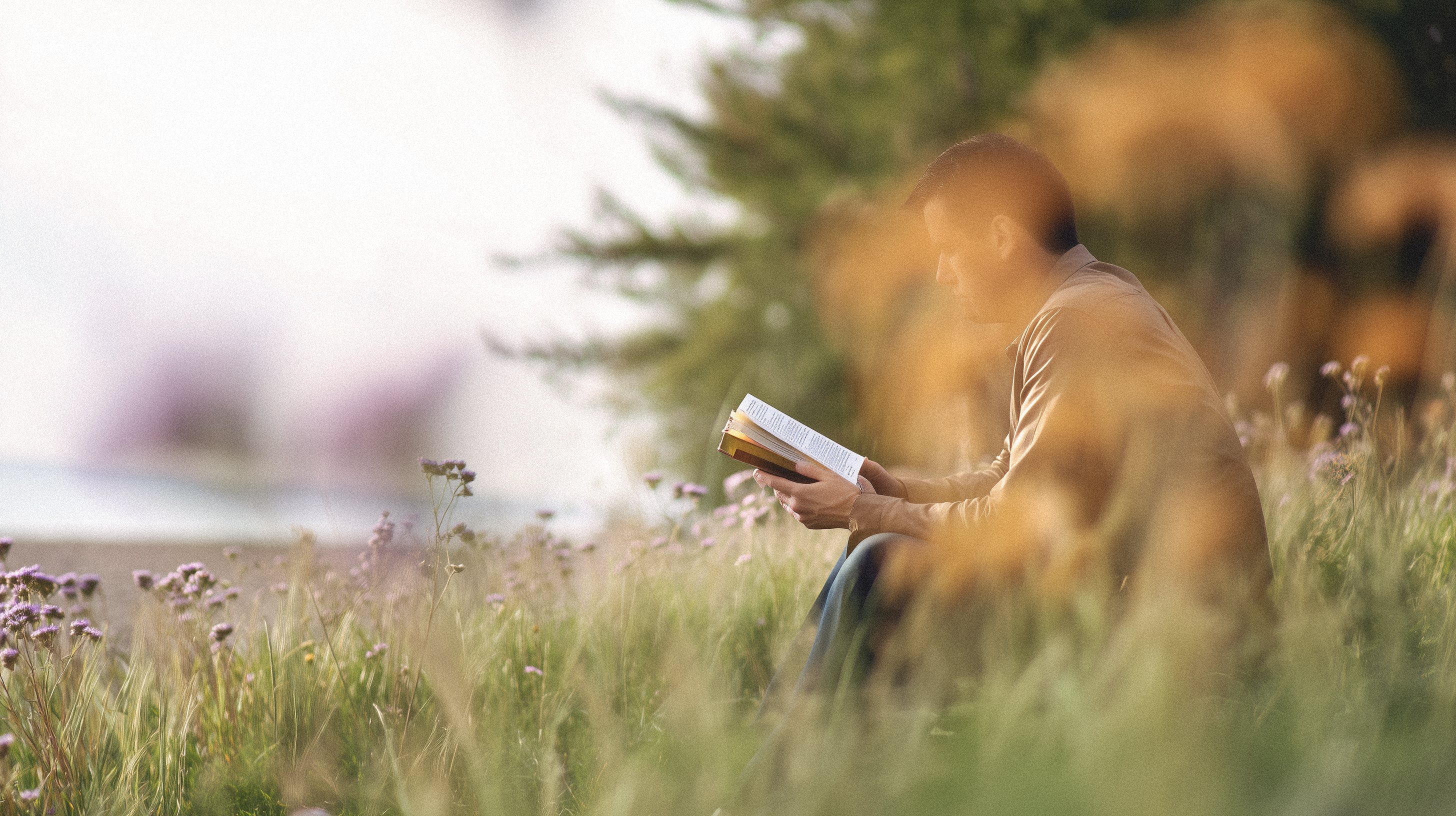 Lunaria — Изображение №16 — Интерфейсы, Брендинг на Dprofile