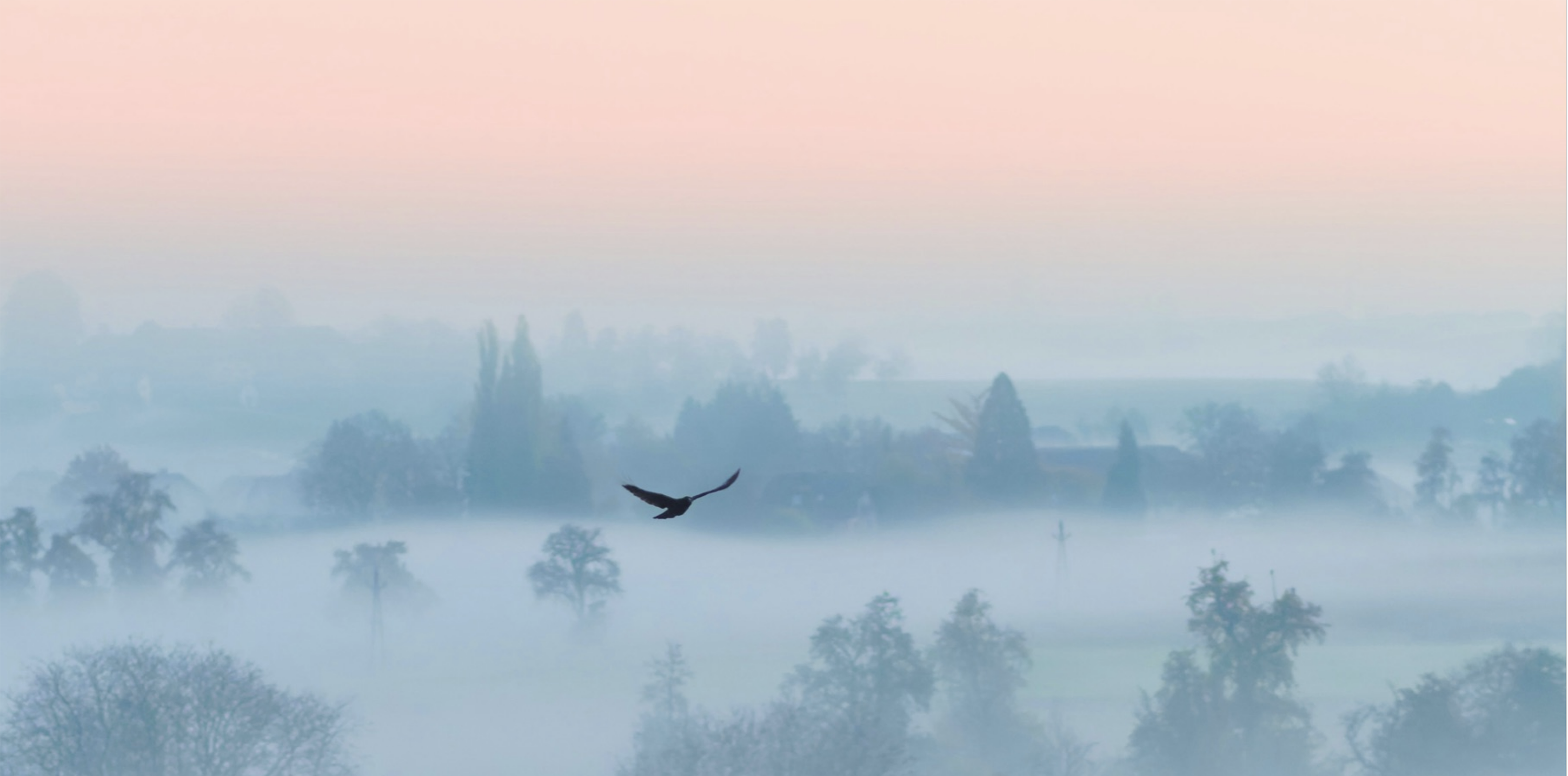 Клубный апарт-комплекс «Тишина» — Изображение №1 — Брендинг на Dprofile