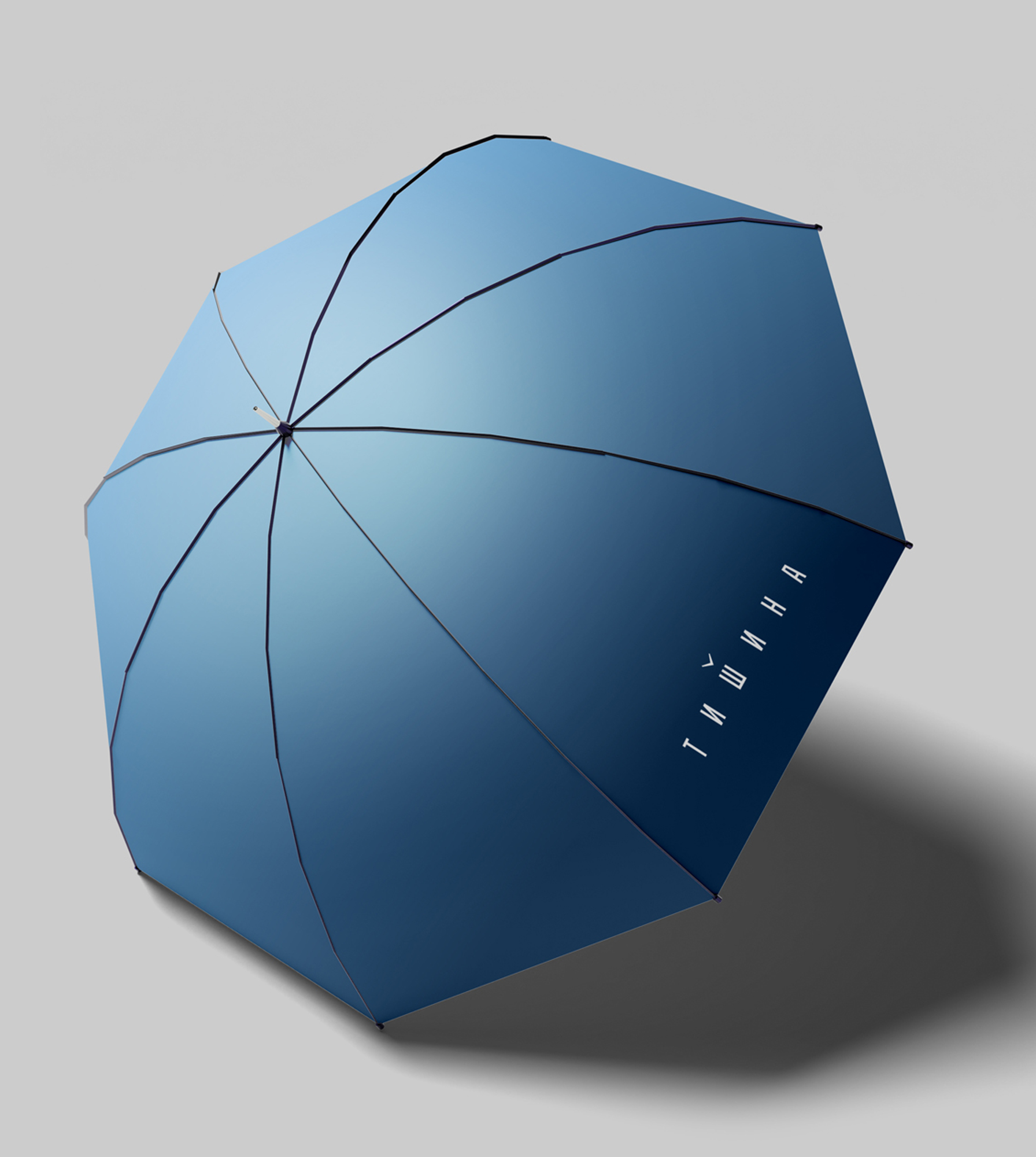 Клубный апарт-комплекс «Тишина» — Изображение №32 — Брендинг на Dprofile