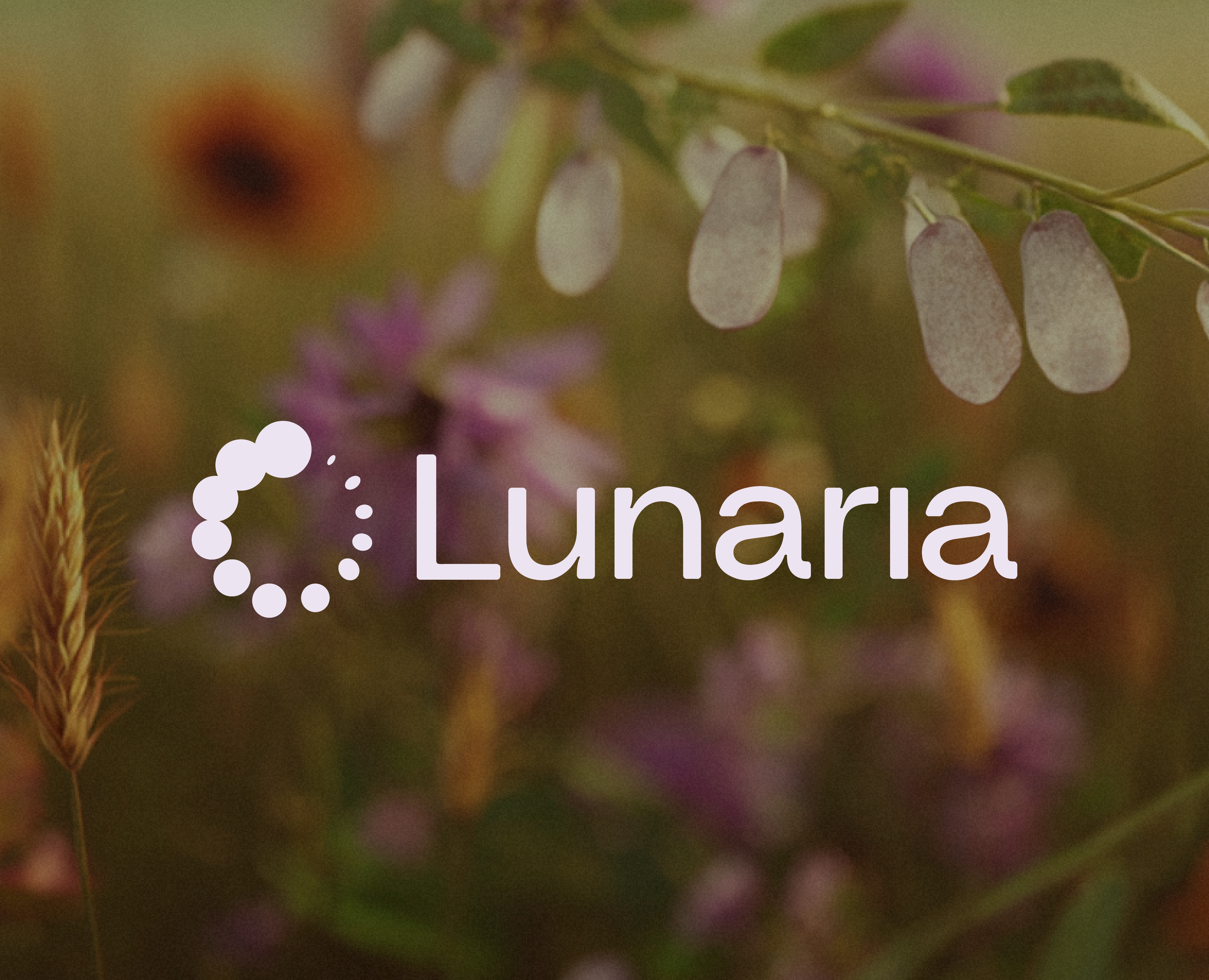 Lunaria на Dprofile