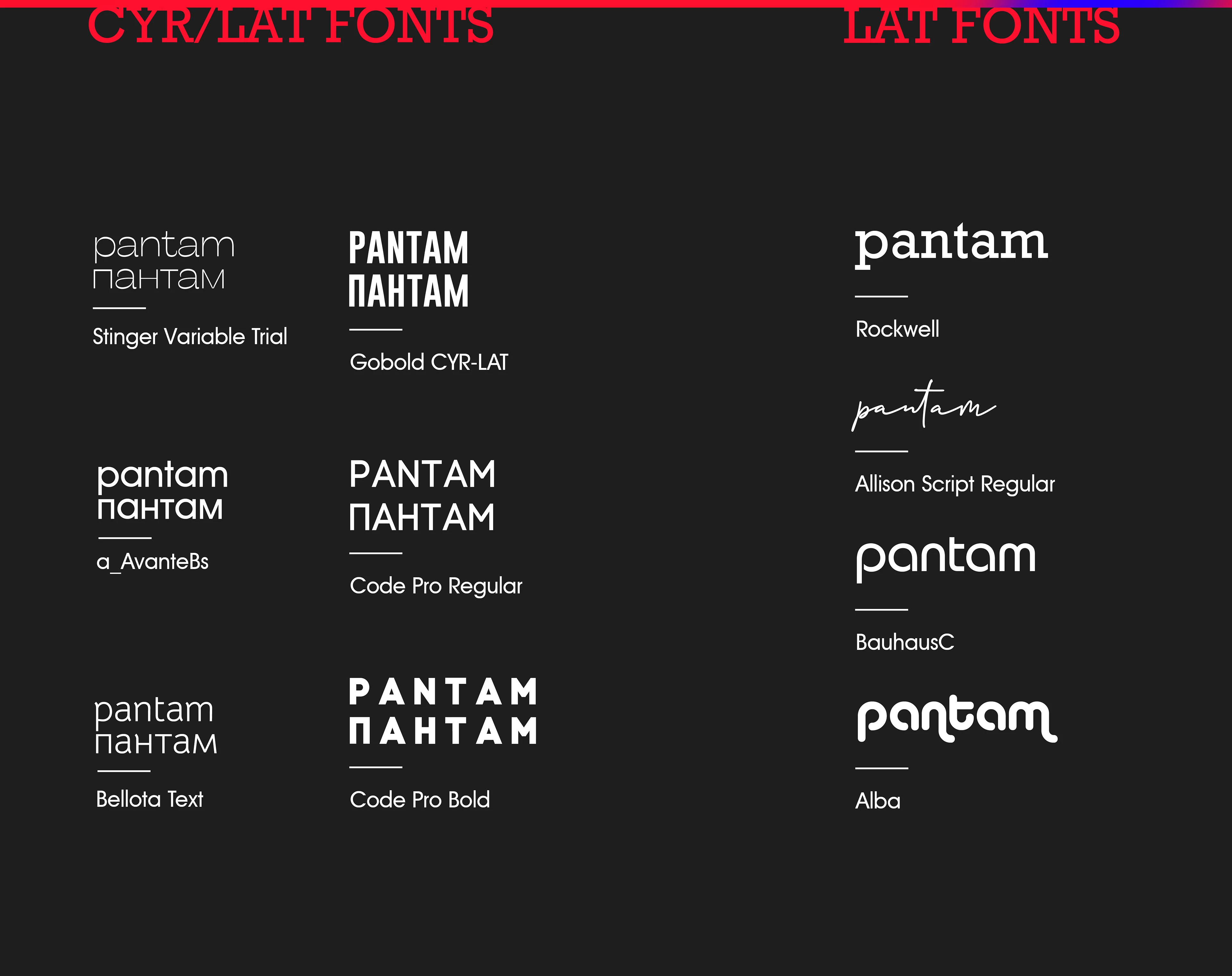 PANTAM TEMPLE | CONCEPT 0.2 — Изображение №2 — Брендинг, Графика на Dprofile