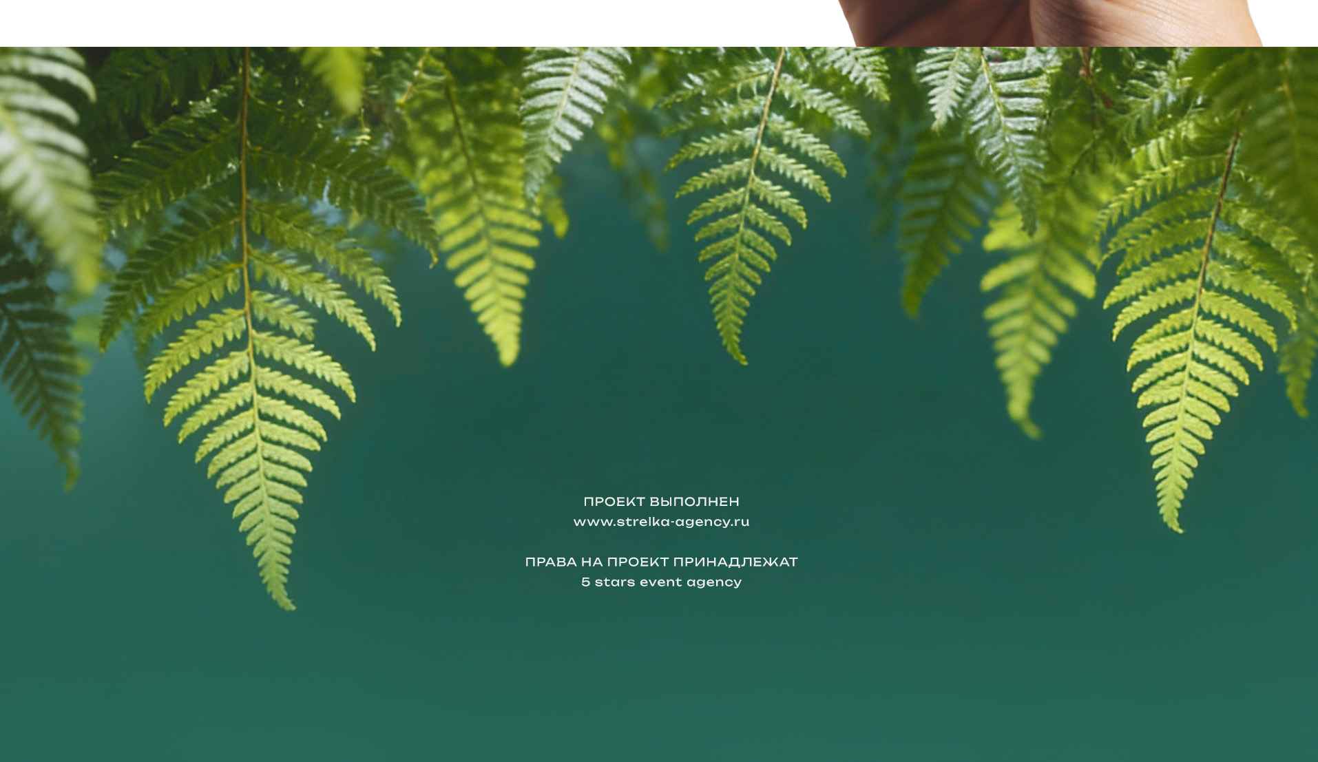 ECO DAY | EVENT DESIGN — Изображение №4 — Брендинг, Архитектура на Dprofile