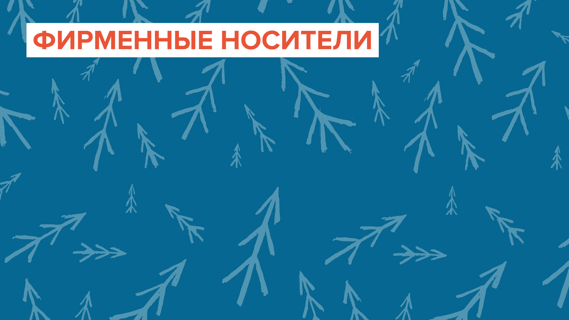 Фирменный стиль кофейни «Ëлка» — Изображение №6 — Брендинг на Dprofile