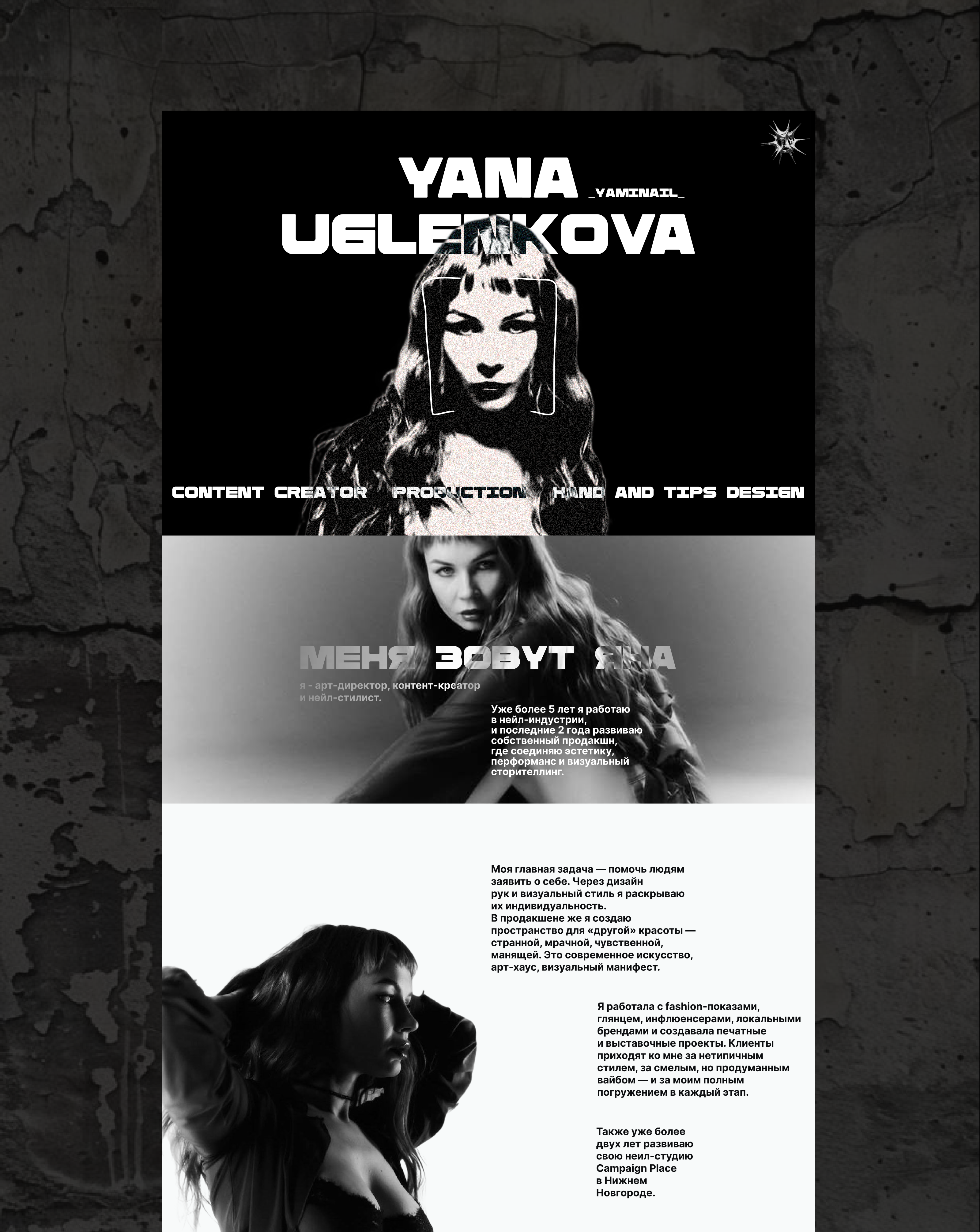 Многостраничный сайт-портфолио для арт-директора — Изображение №3 — Интерфейсы, Анимация на Dprofile