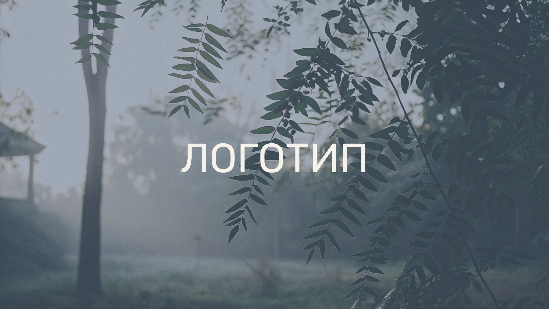 UMAMI — фирменный стиль для ресторана современной японской … — Изображение №4 — Брендинг, Графика на Dprofile