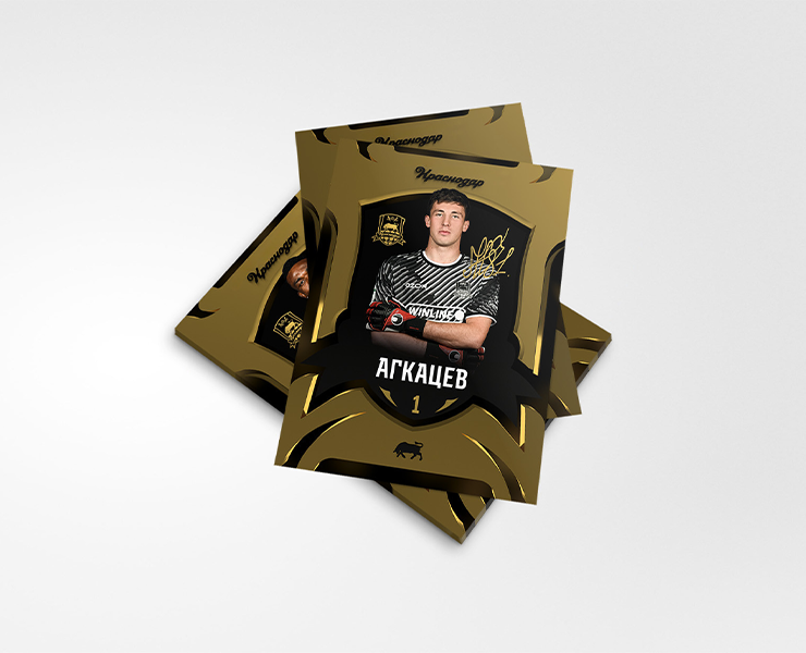 Набор карточек  «Краснодар» — Интерфейсы, Графика на Dprofile