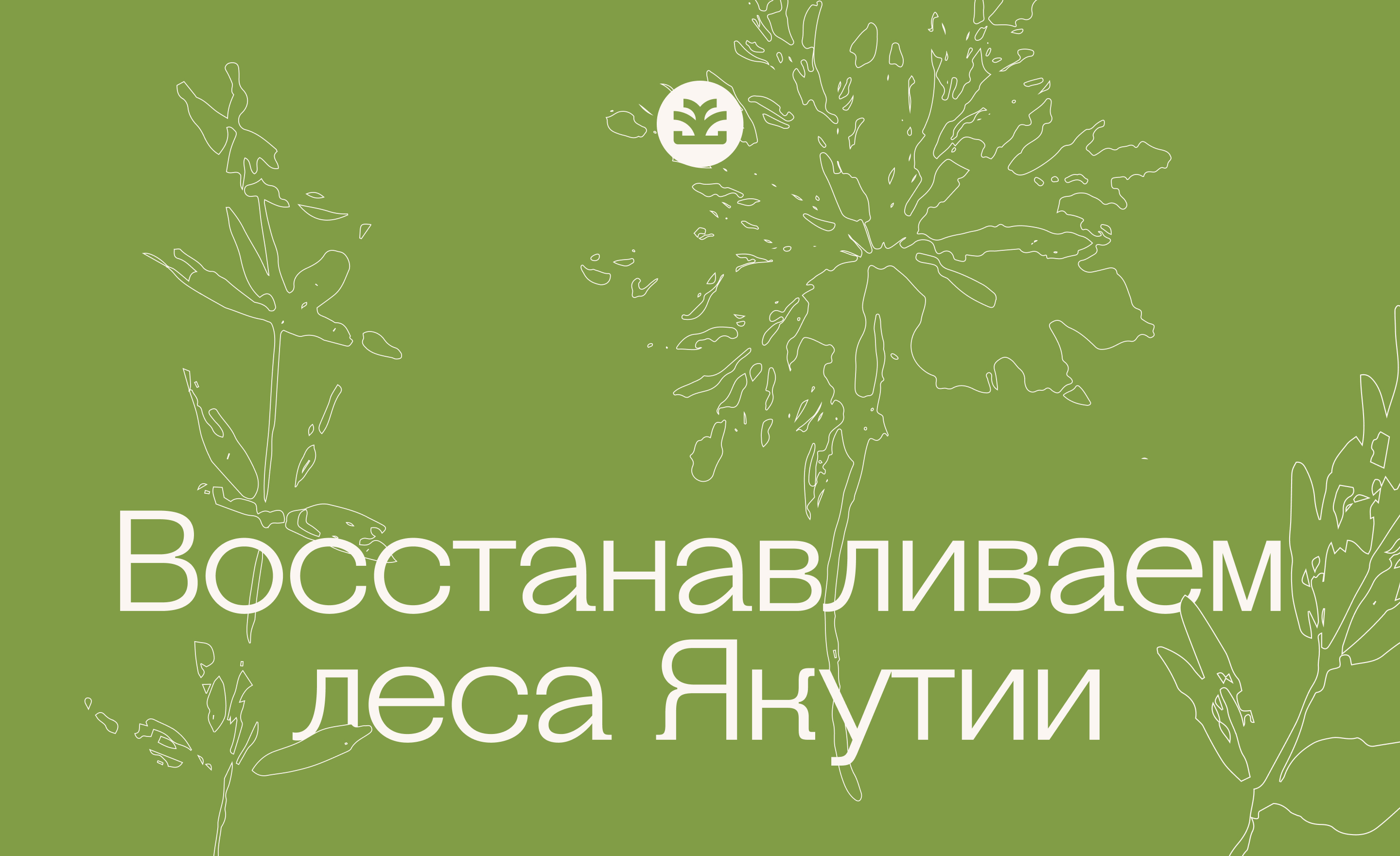 Растим лес — Изображение №5 — Брендинг, Графика на Dprofile