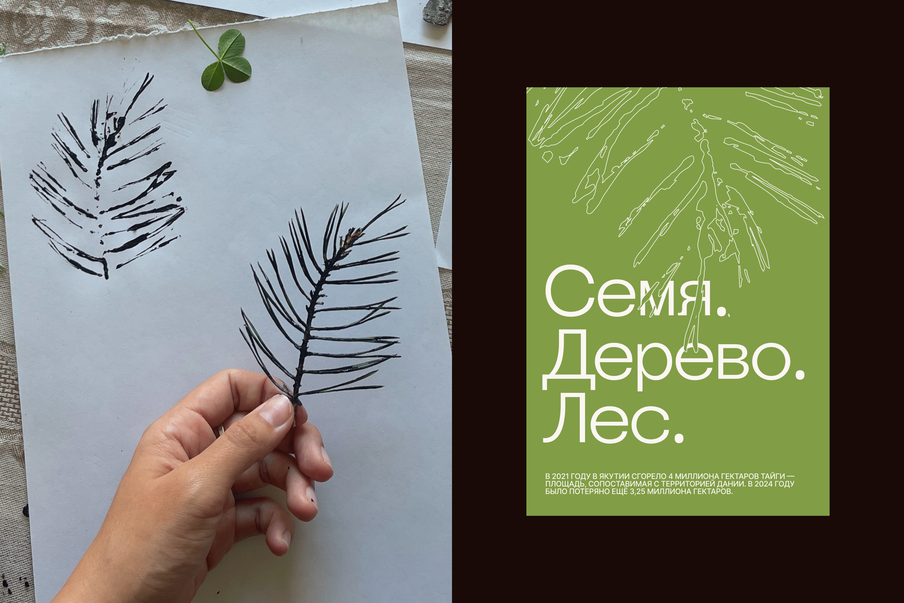 Растим лес — Изображение №8 — Брендинг, Графика на Dprofile