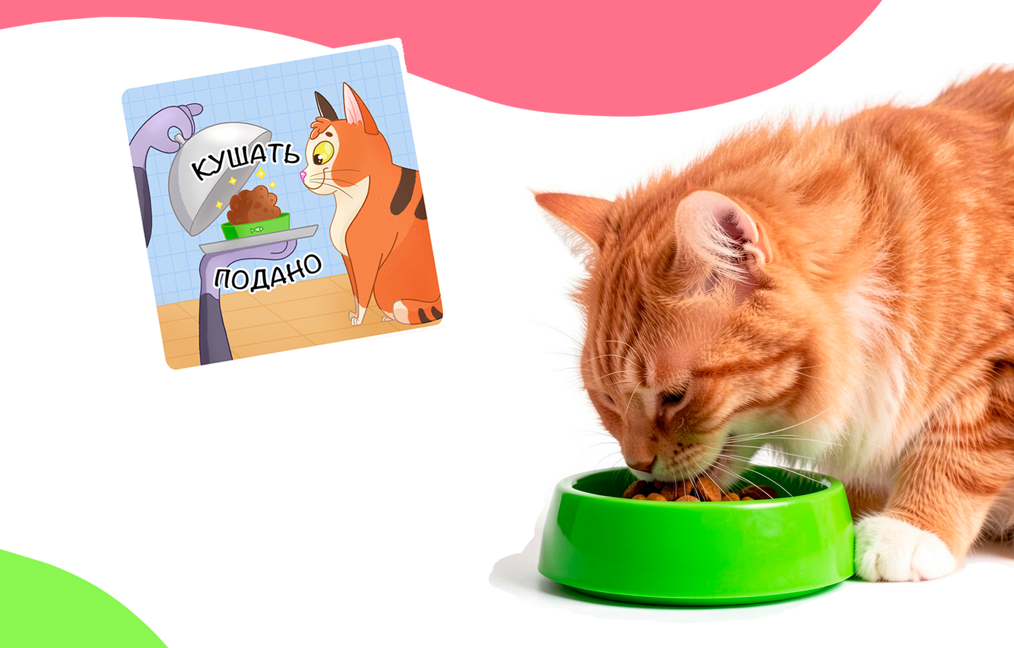 Стикерпак для сервиса кэт - ситтеров — Изображение №3 — Брендинг, Иллюстрация на Dprofile