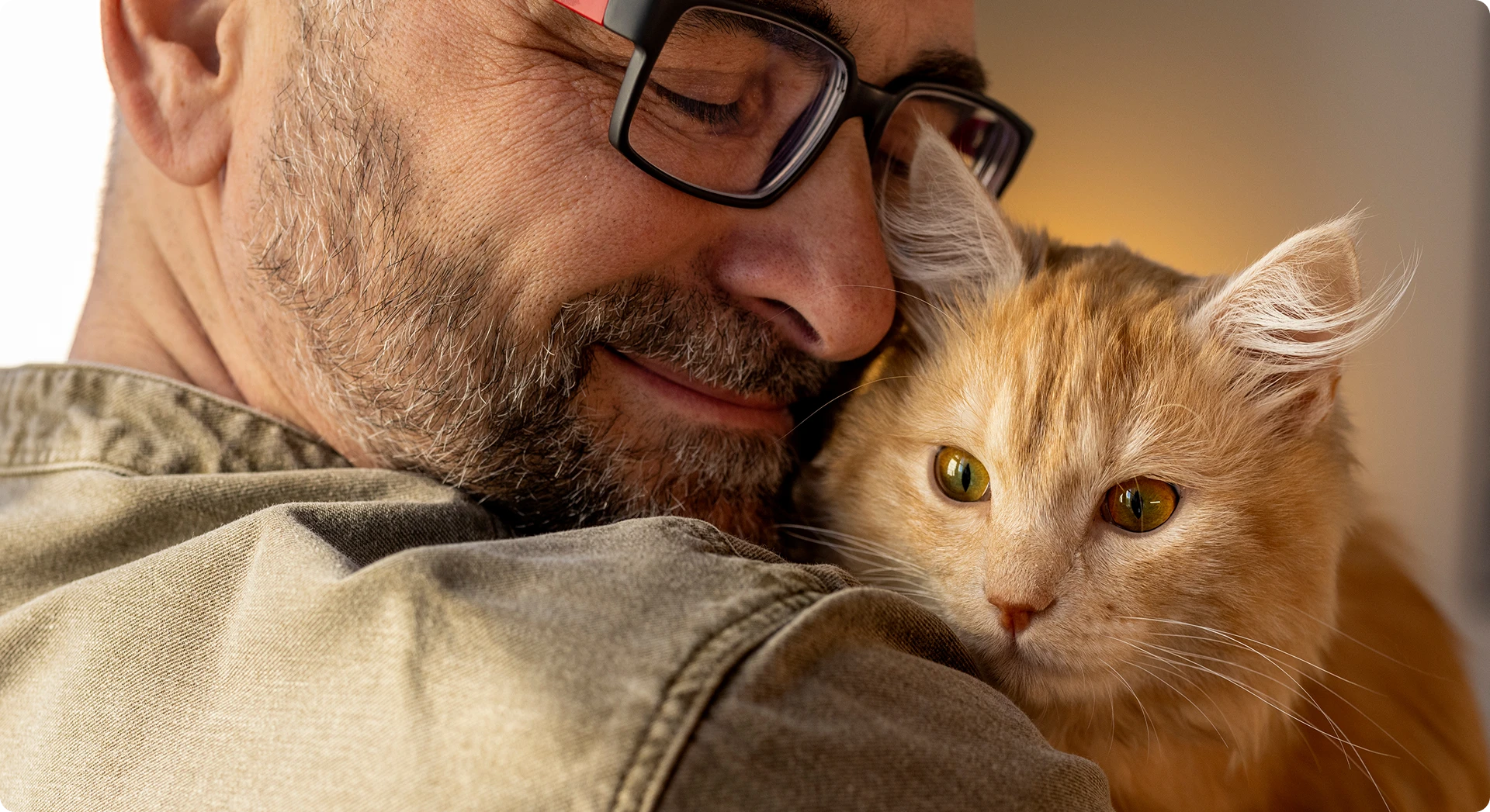 Лендинг благотворительного проекта помощи бездомным животным — Изображение №6 — Интерфейсы, Брендинг на Dprofile