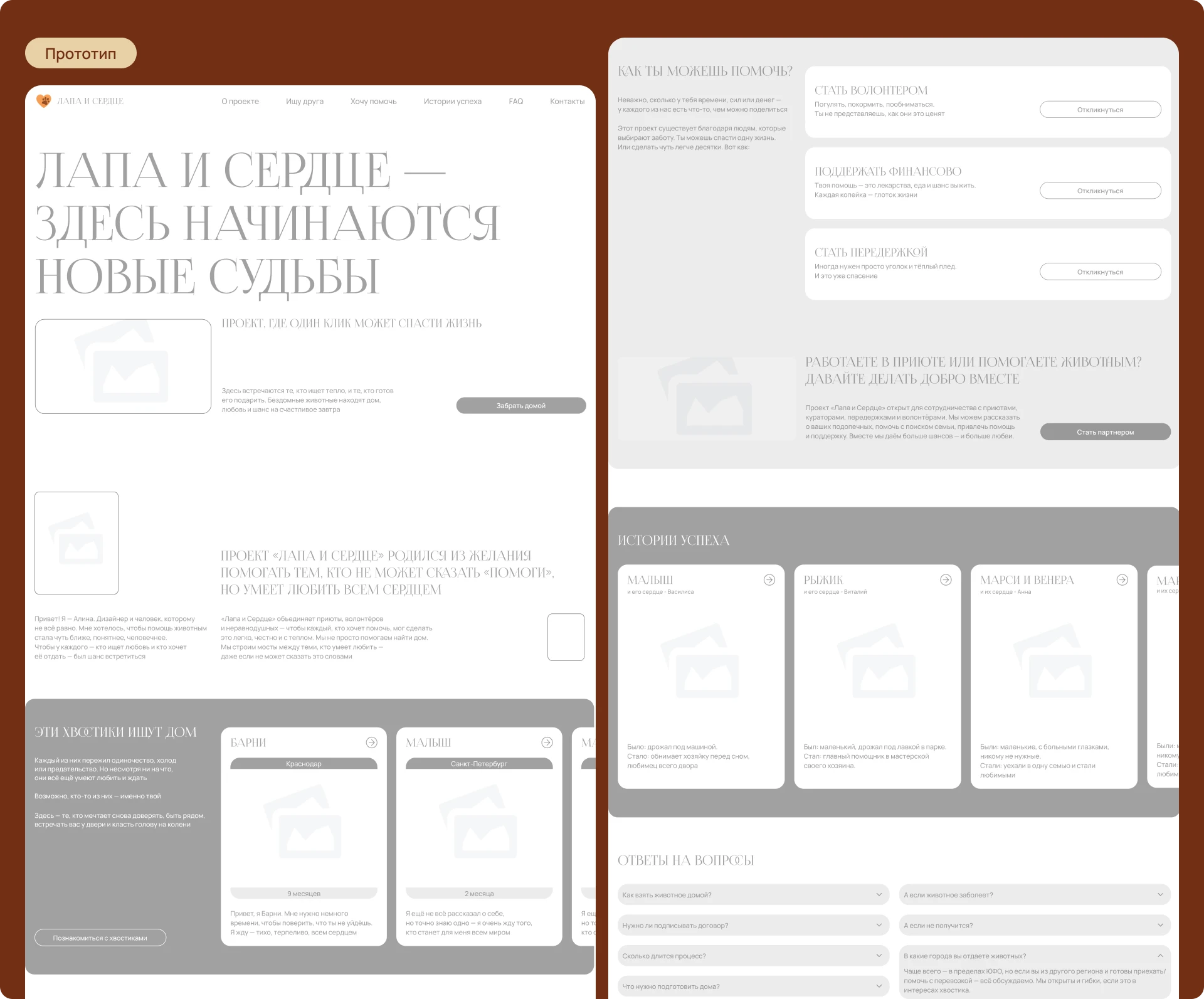 Лендинг благотворительного проекта помощи бездомным животным — Изображение №5 — Интерфейсы, Брендинг на Dprofile
