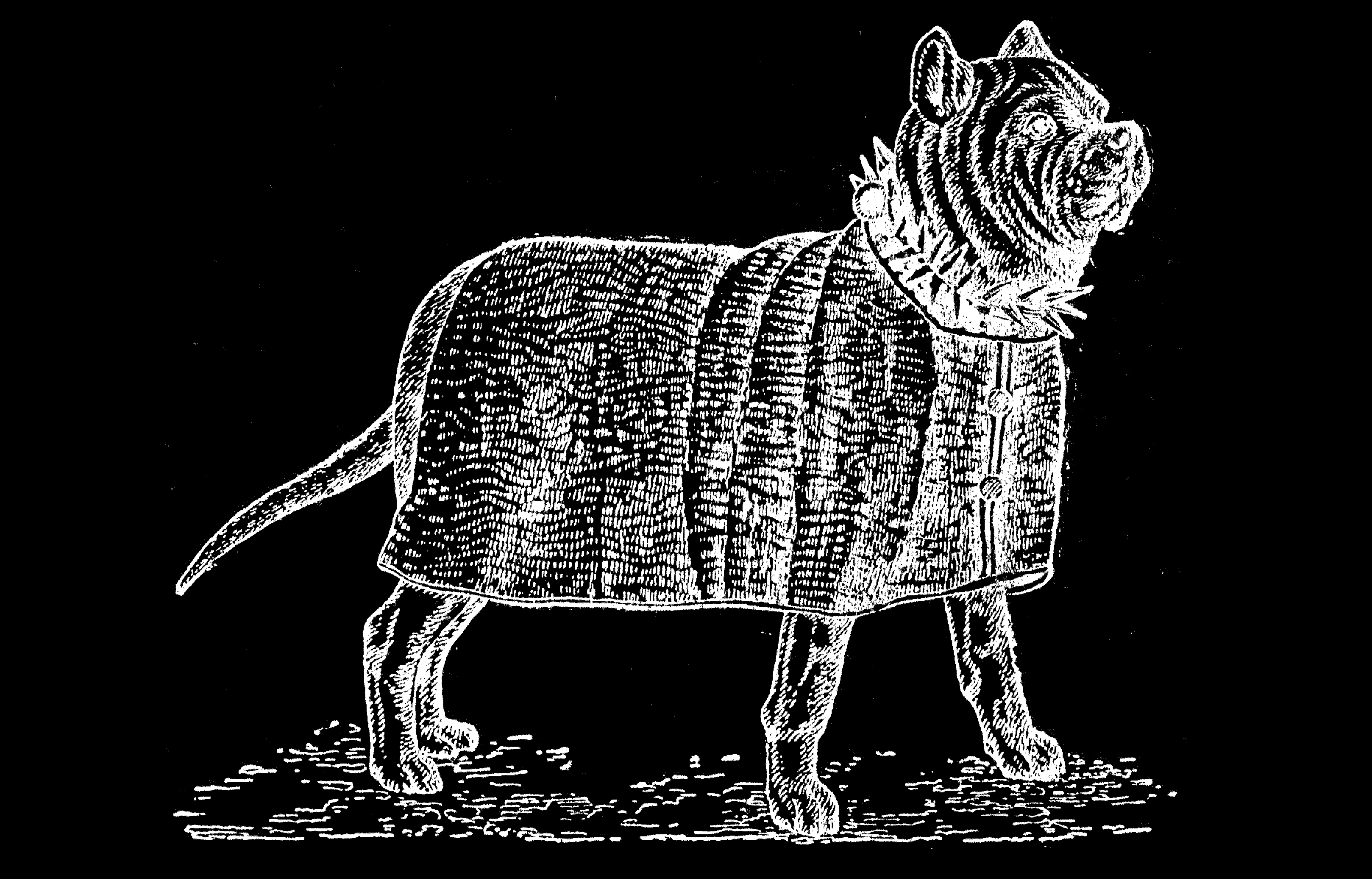 Не лает и не кусает — Изображение №1 — Иллюстрация, Графика на Dprofile