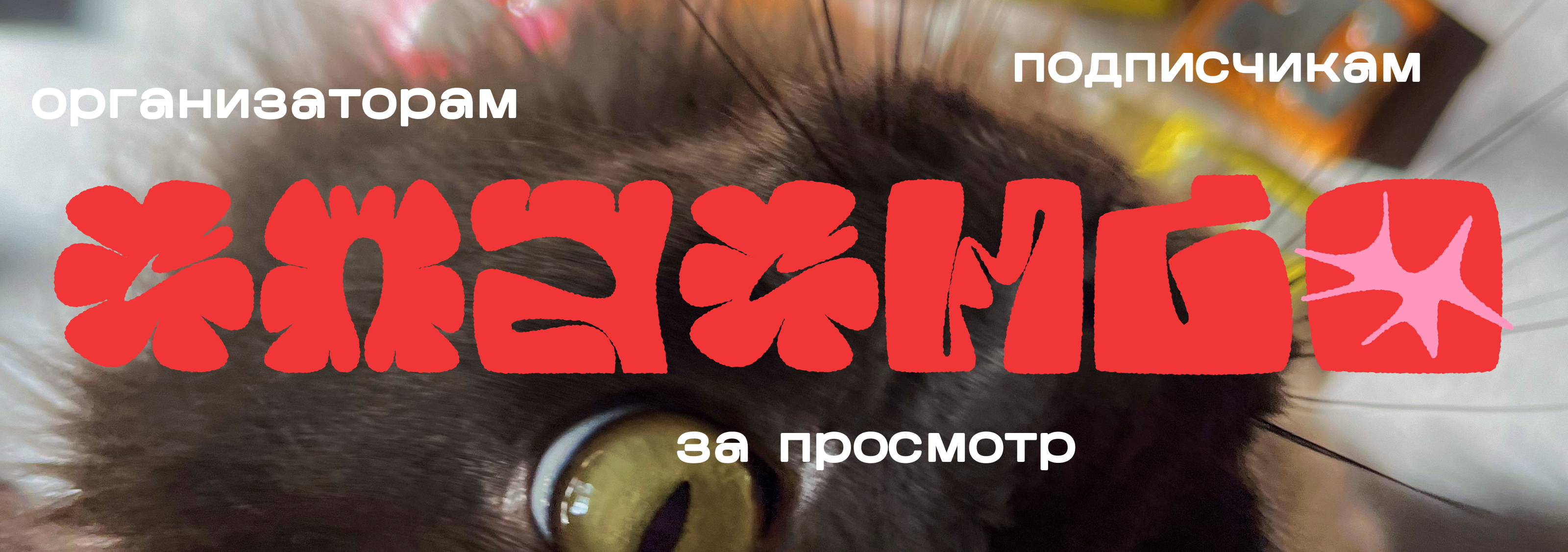 буквальный челлендж / 2026 — Изображение №25 — Брендинг, Графика на Dprofile
