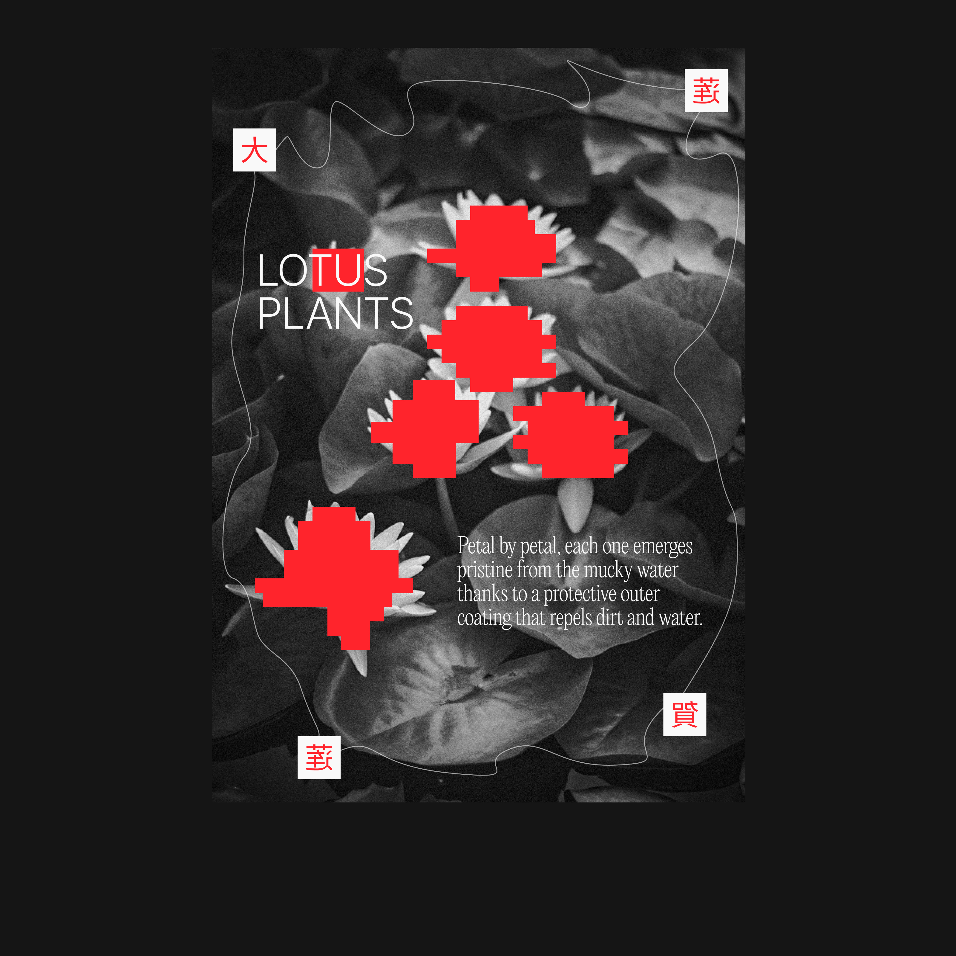 Posters Collection 2025 — Изображение №5 — Графика, Маркетинг на Dprofile