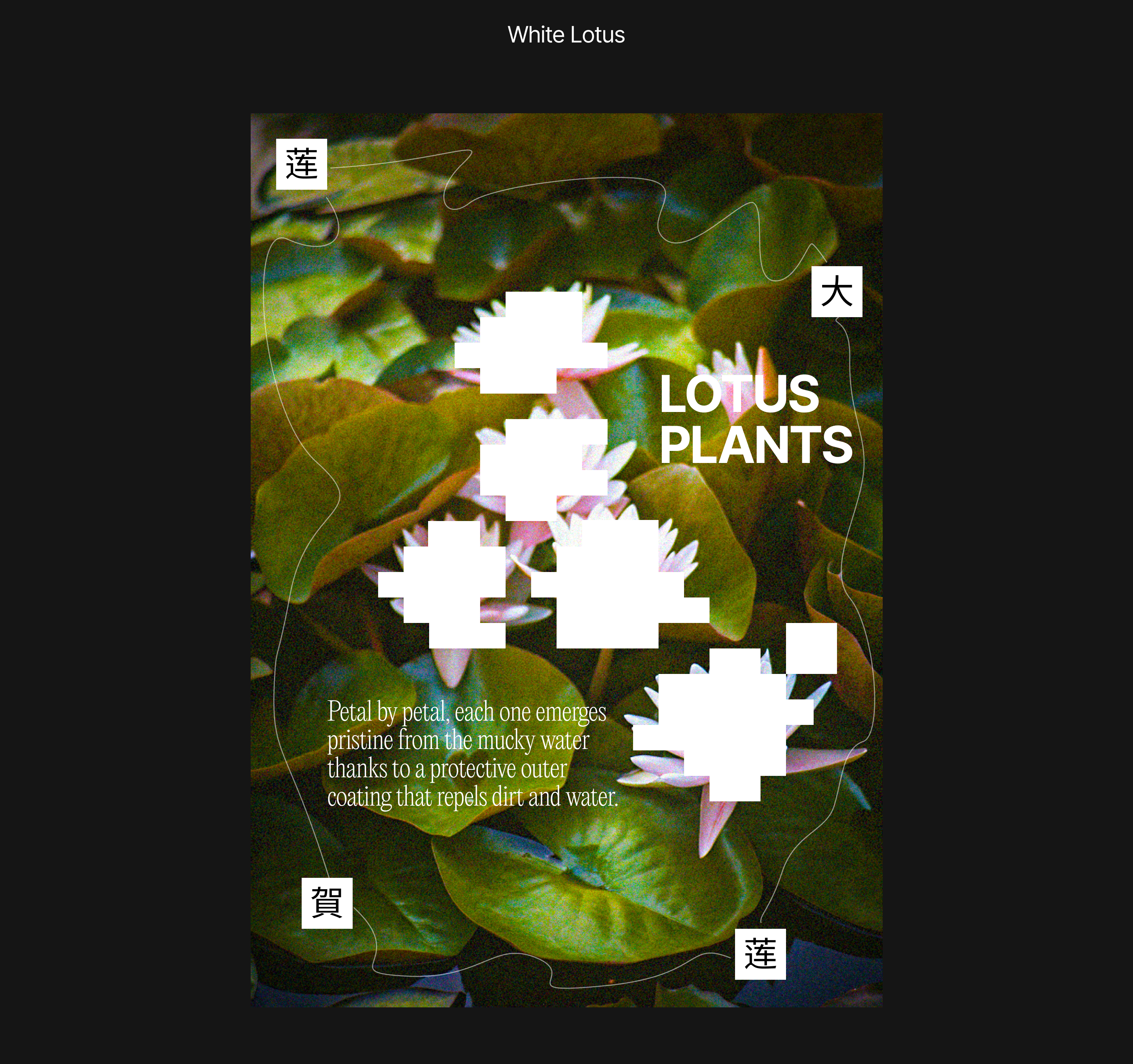 Posters Collection 2025 — Изображение №4 — Графика, Маркетинг на Dprofile