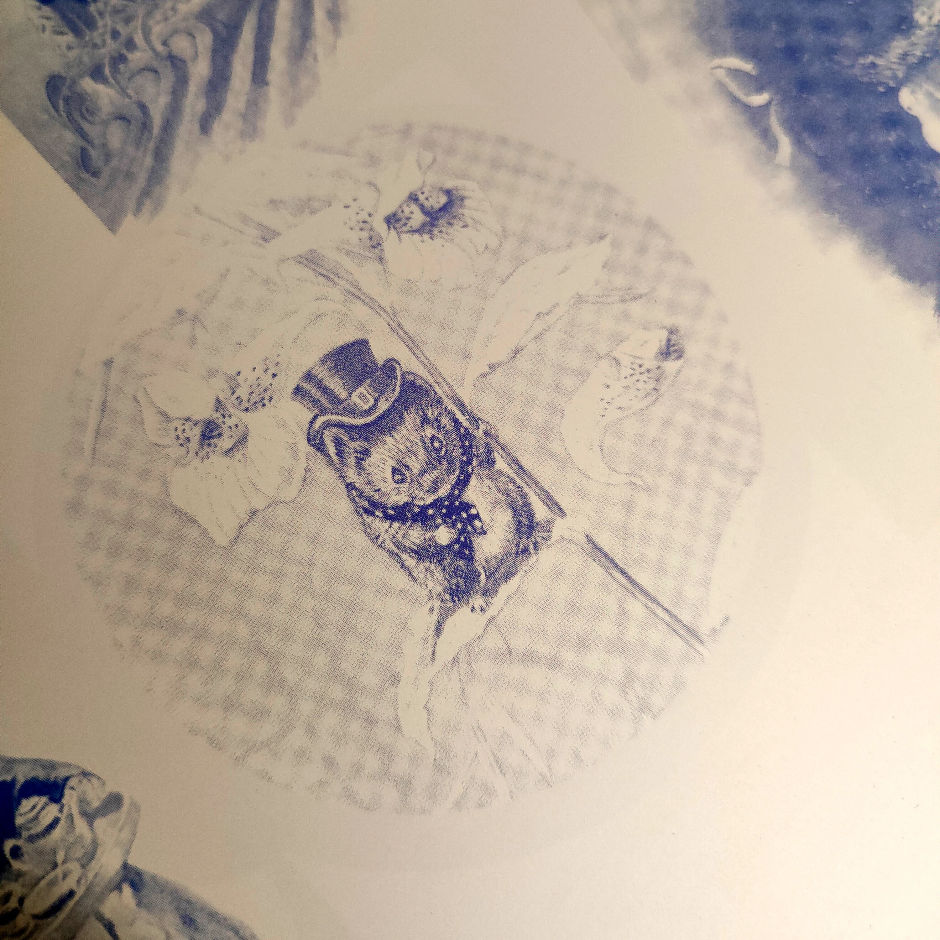 Дизайн книги, вёрстка и леттеринг — Изображение №21 — Графика на Dprofile