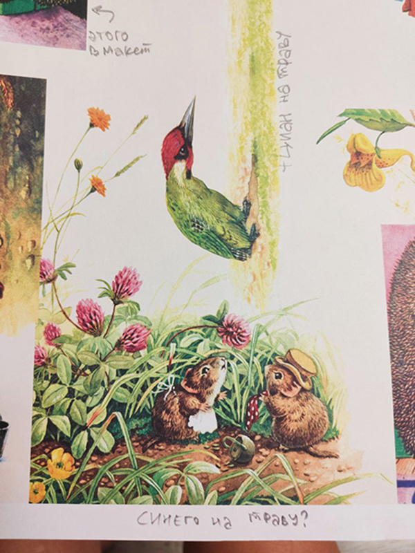 Дизайн книги, вёрстка и леттеринг — Изображение №20 — Графика на Dprofile