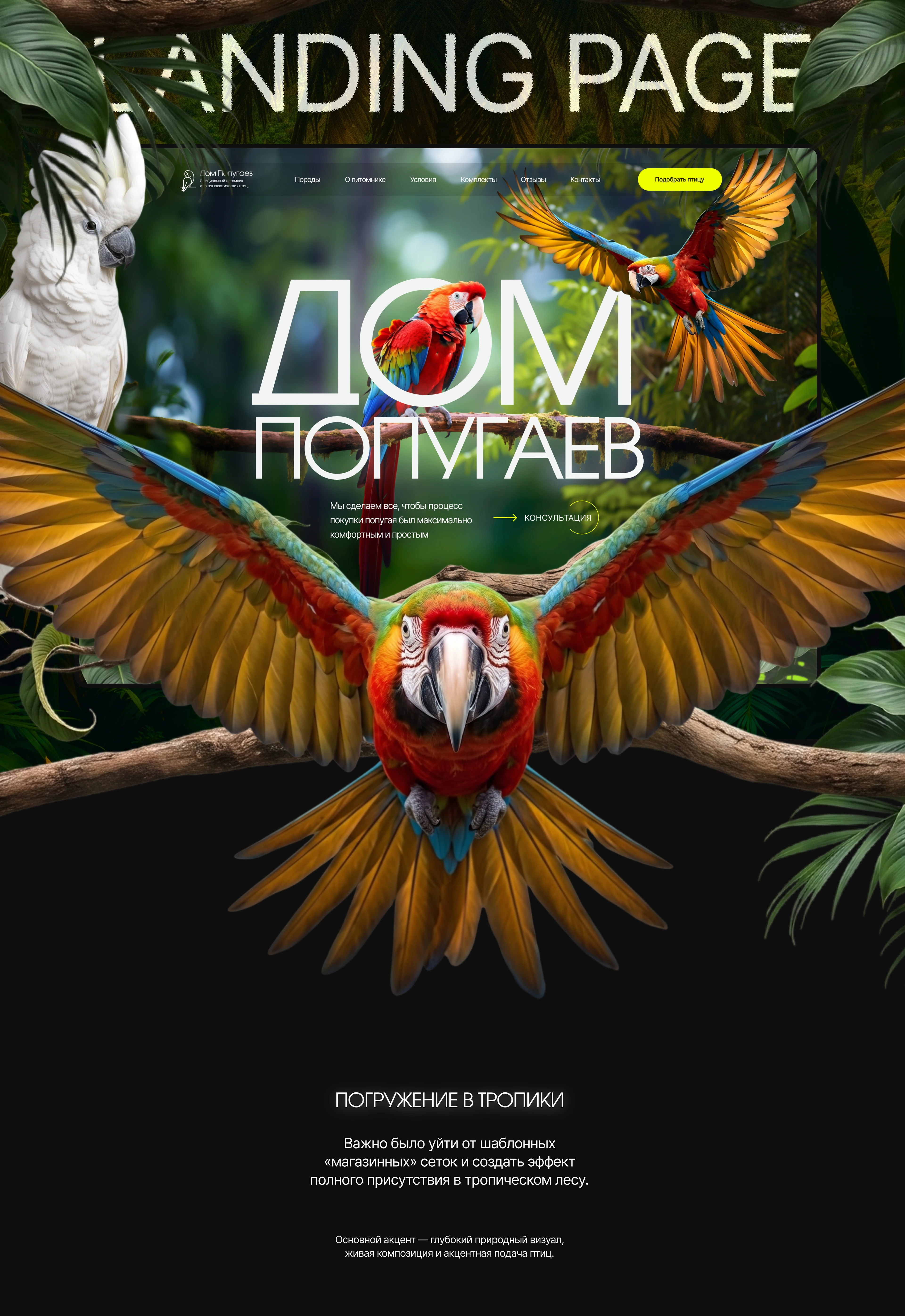 Дом Попугаев | Промо-лендинг для премиум питомника — Изображение №1 — Интерфейсы на Dprofile