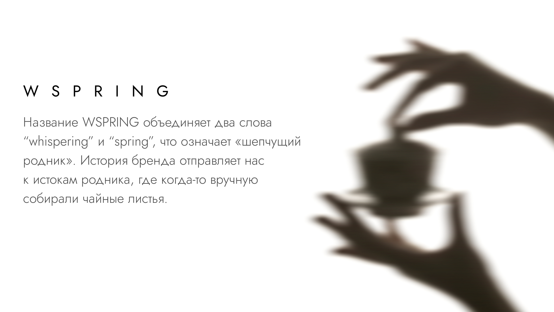 WSPRING — айдентика премиального китайского чая — Изображение №5 — Брендинг на Dprofile