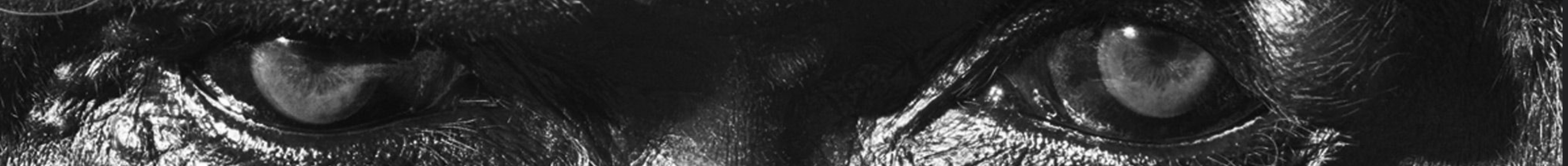 MOTOR OIL — Изображение №10 — Интерфейсы, Брендинг на Dprofile