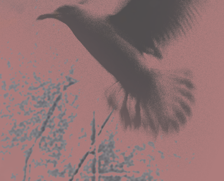 Poetry posters — Графика на Dprofile