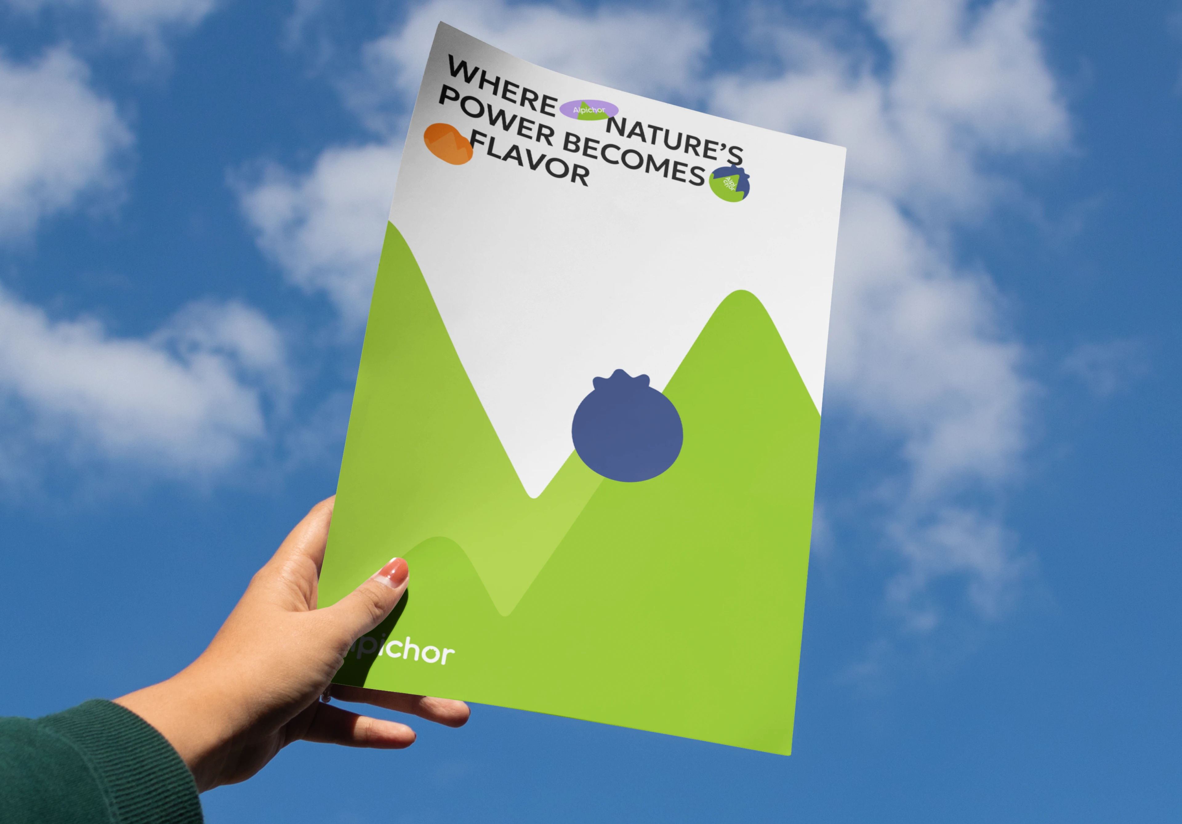 Фирменный стиль для бренда фруктов | Логотип — Изображение №14 — Брендинг на Dprofile