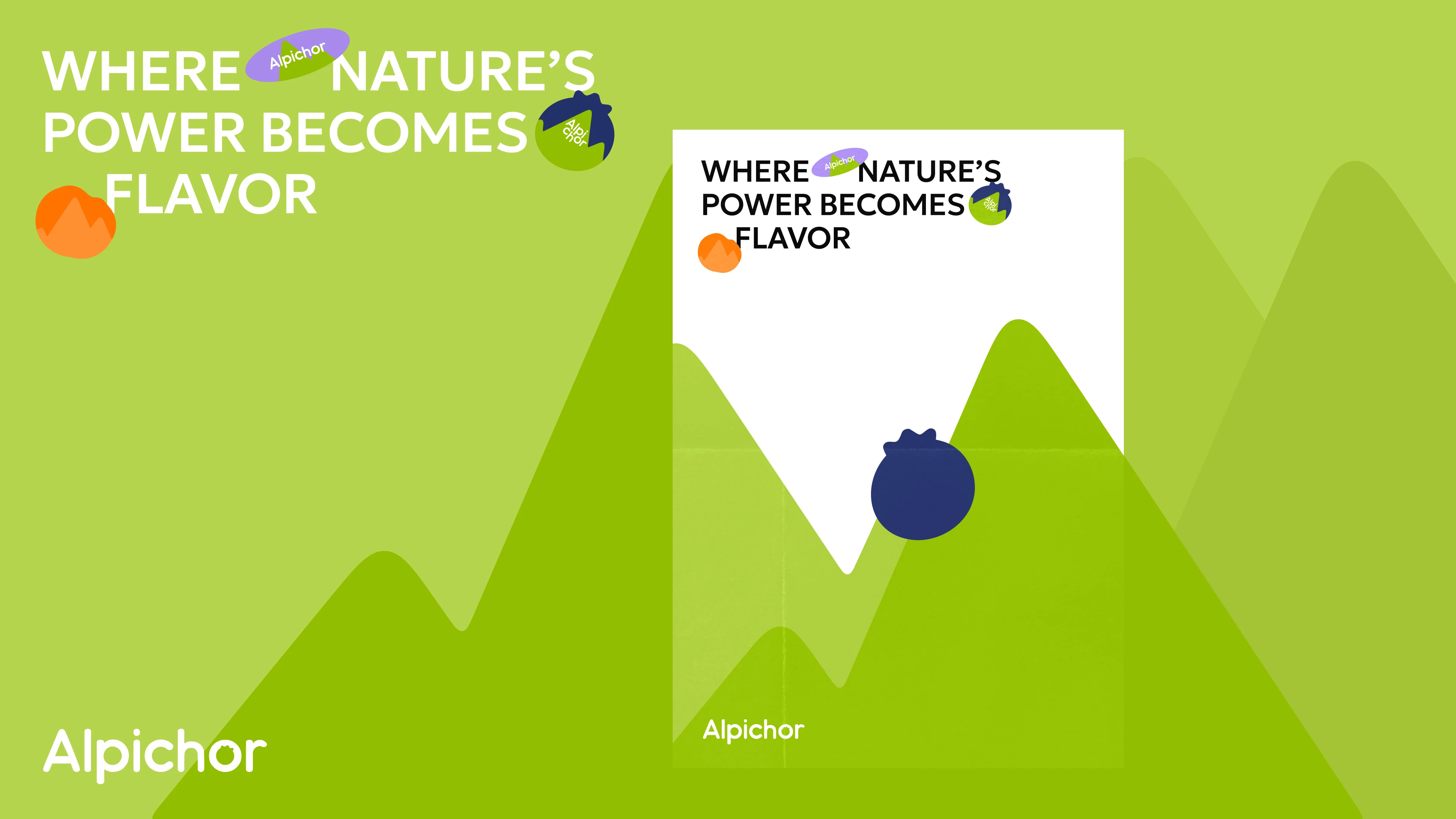 Фирменный стиль для бренда фруктов | Логотип — Изображение №11 — Брендинг на Dprofile