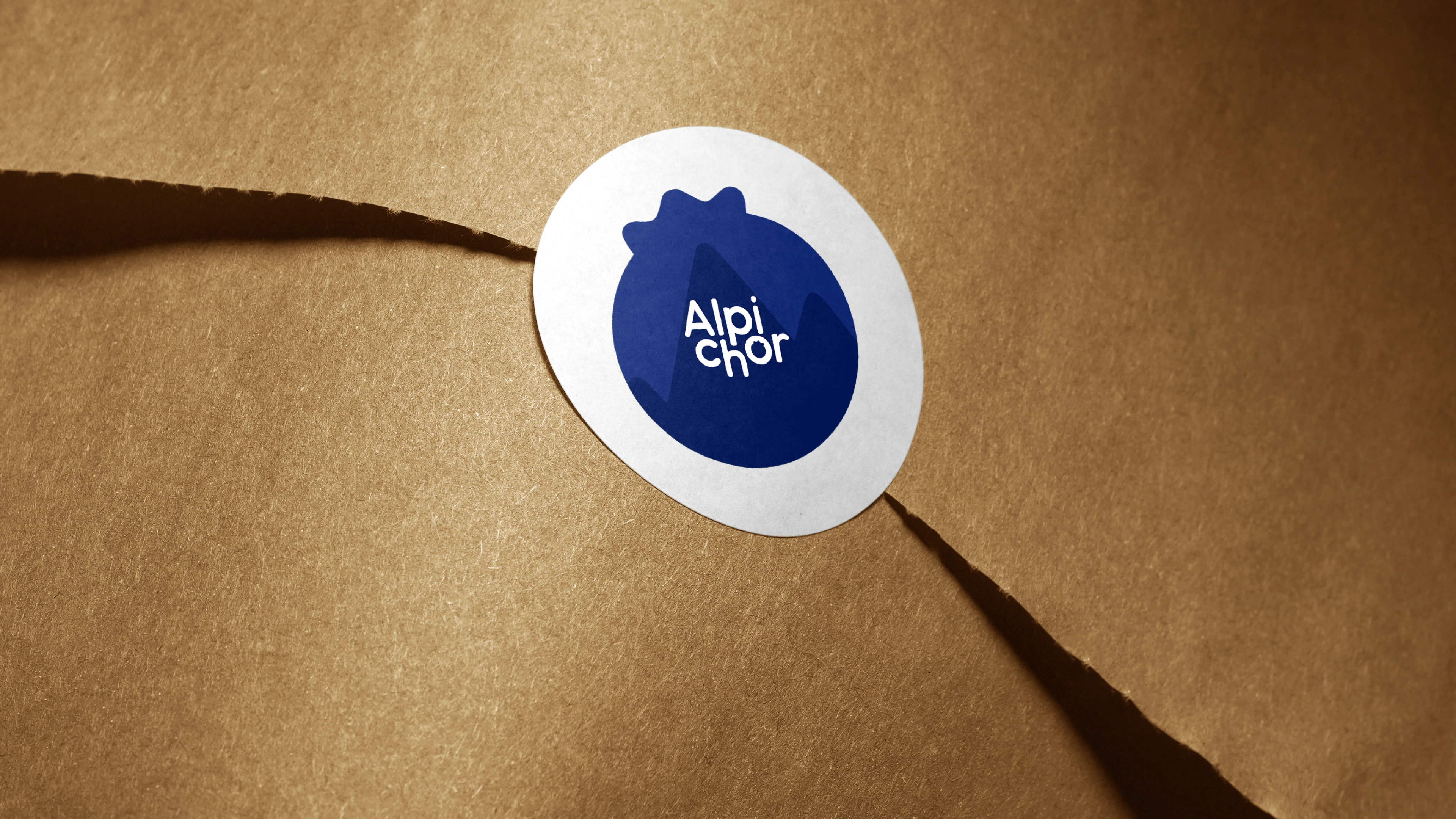 Фирменный стиль для бренда фруктов | Логотип — Изображение №5 — Брендинг на Dprofile