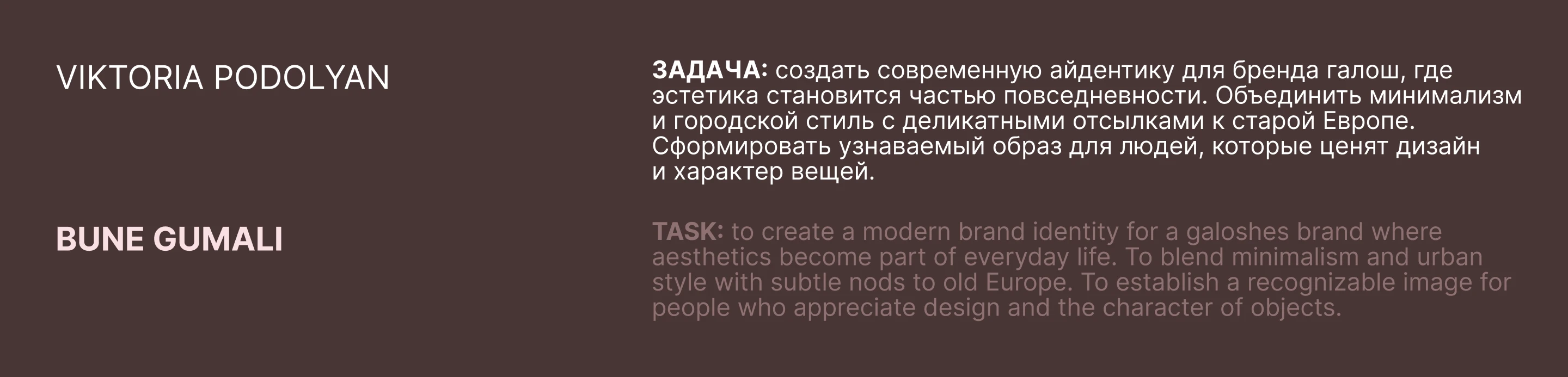 Фирменный стиль для бренда обуви · logo · identity — Изображение №6 — Брендинг на Dprofile