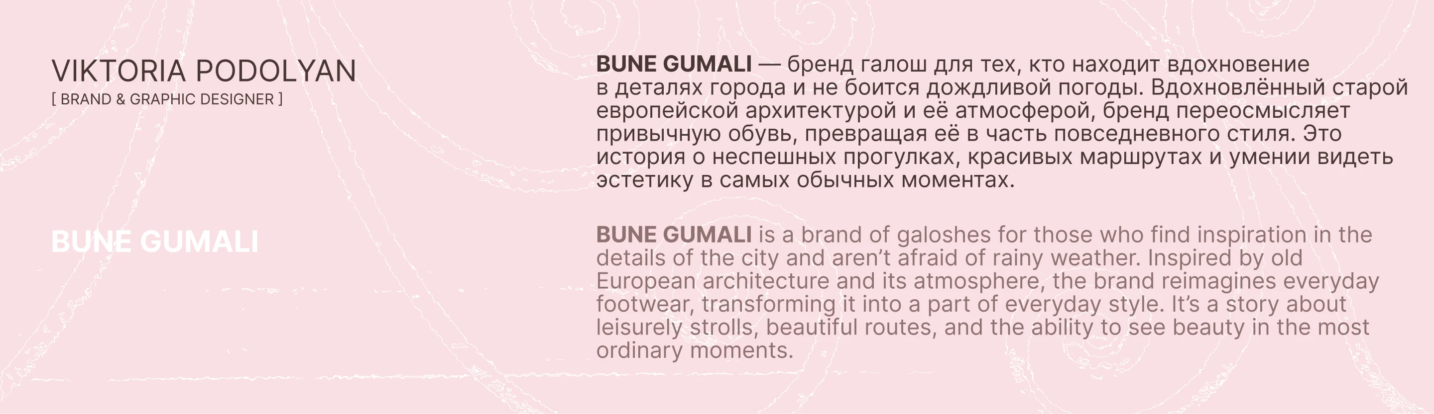Фирменный стиль для бренда обуви · logo · identity — Изображение №2 — Брендинг на Dprofile