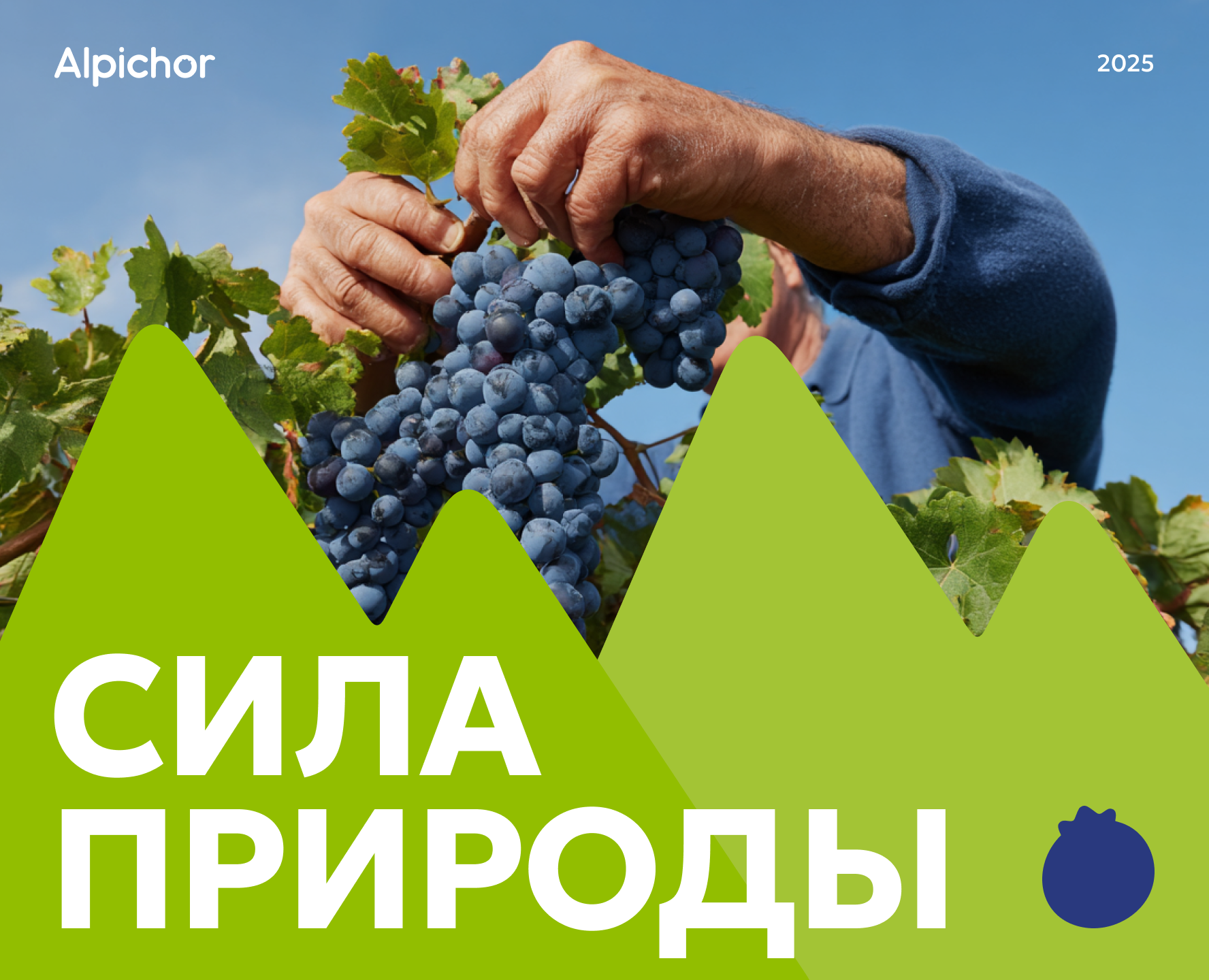 Фирменный стиль для бренда фруктов | Логотип на Dprofile